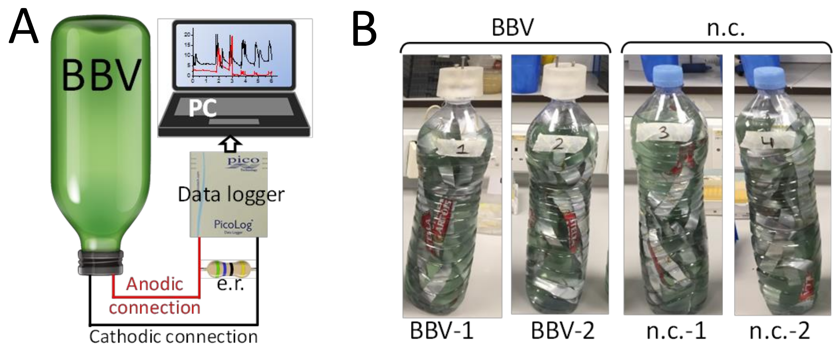 Biology 07 00026 g002