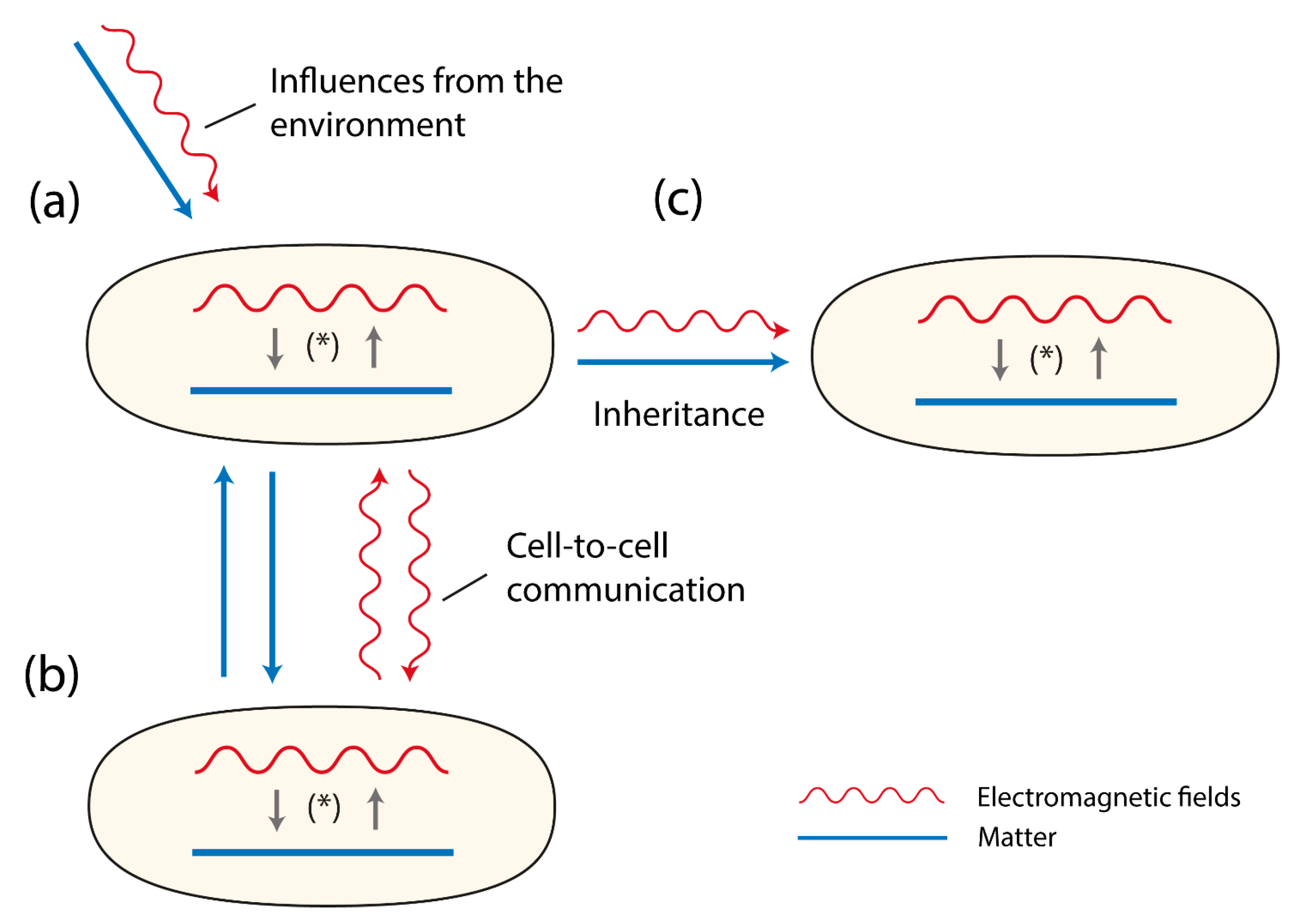 Biology 07 00028 g001