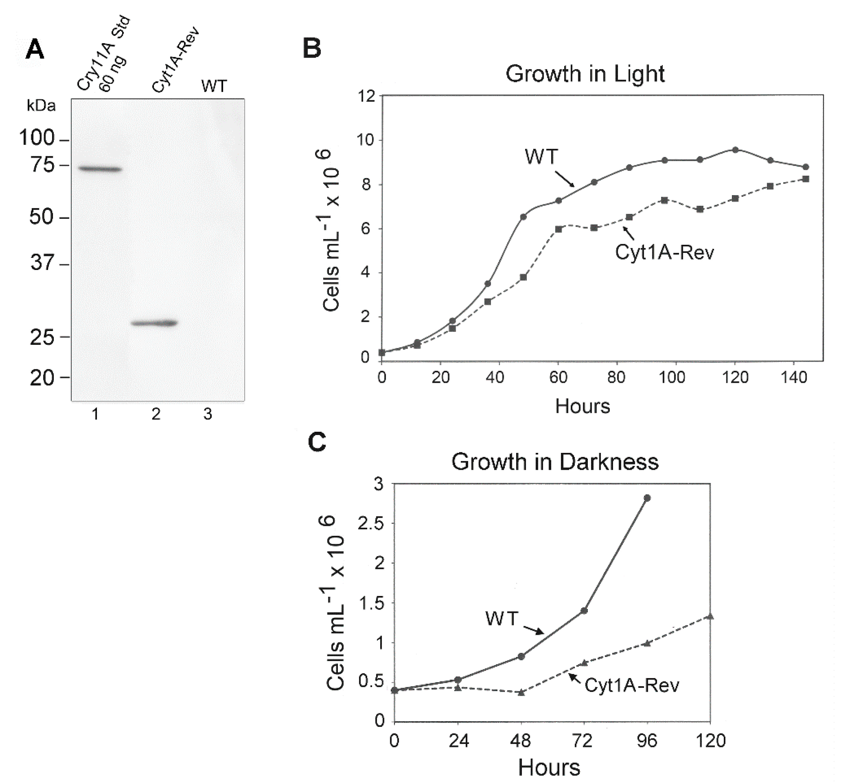 Biology 07 00029 g005