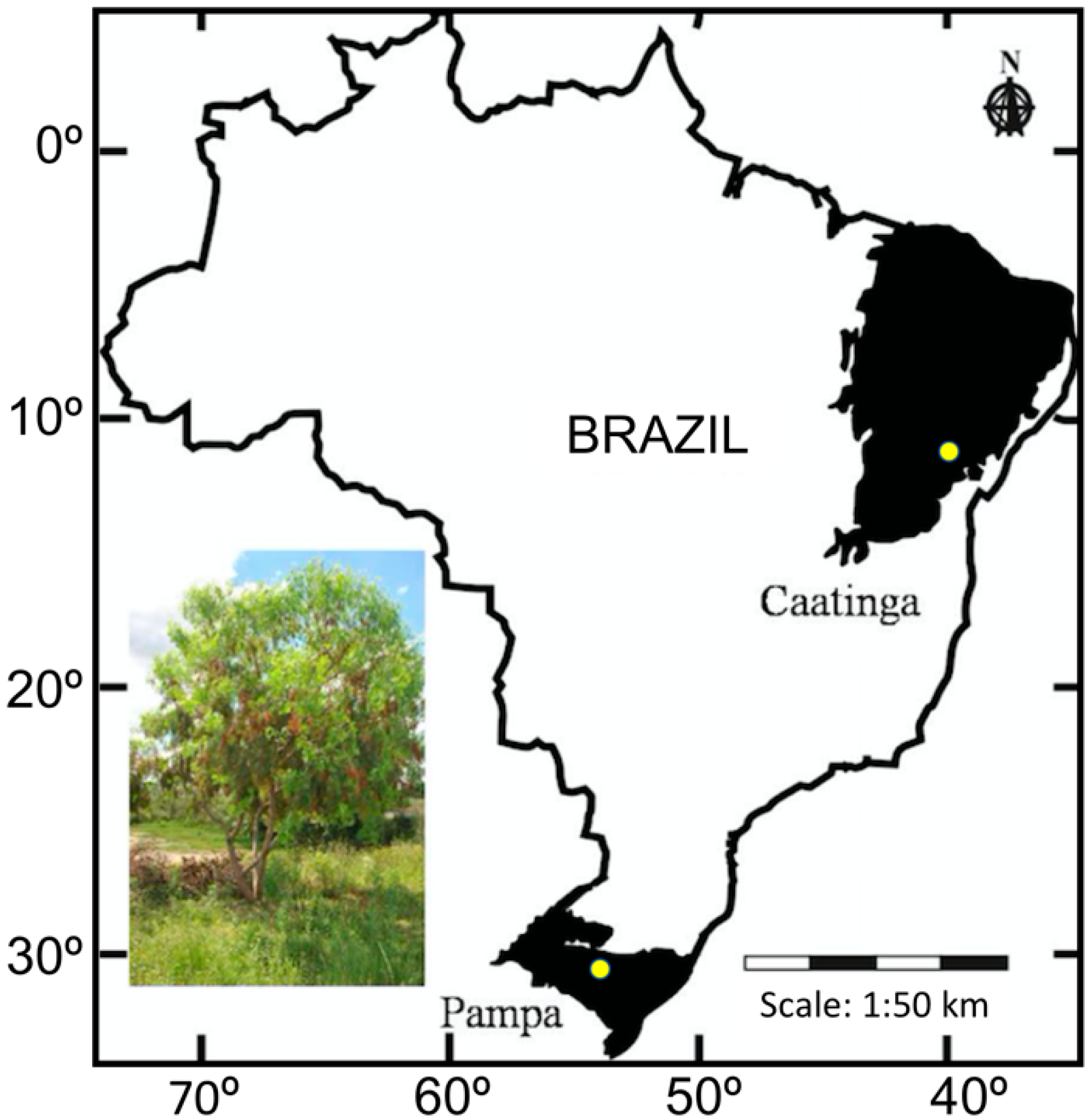 Biology 07 00043 g001