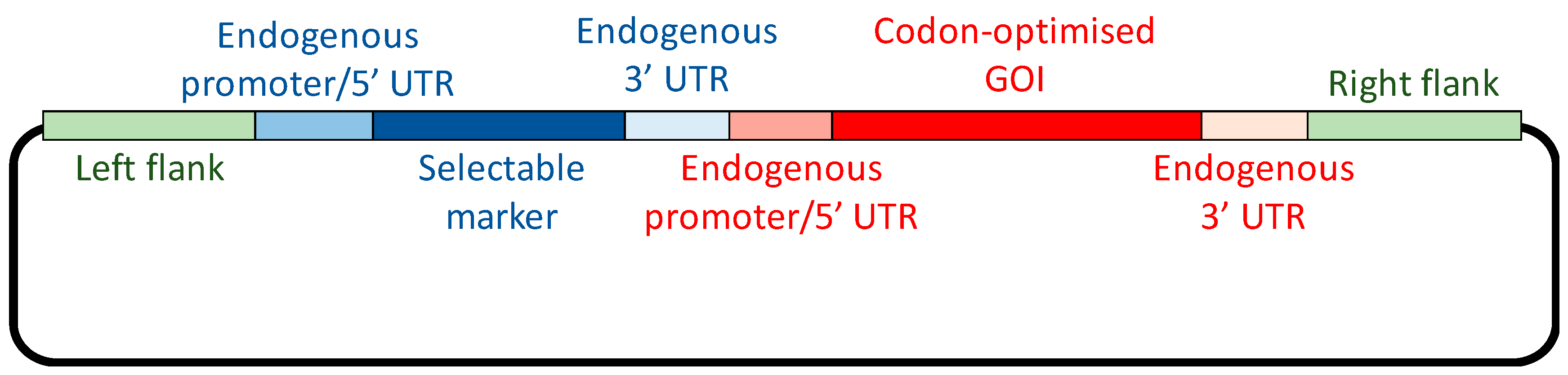 Biology 07 00046 g002