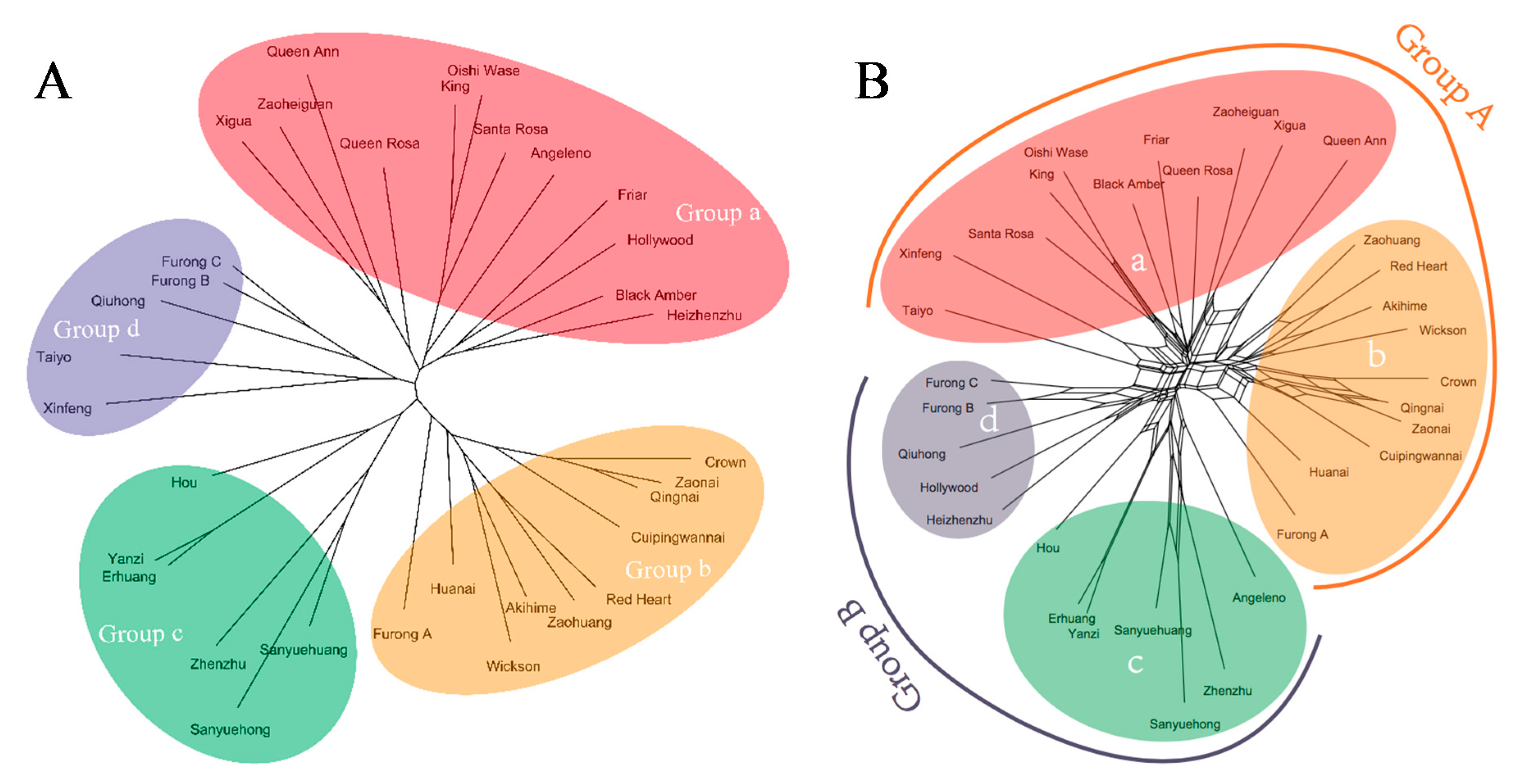 Biology 08 00002 g002