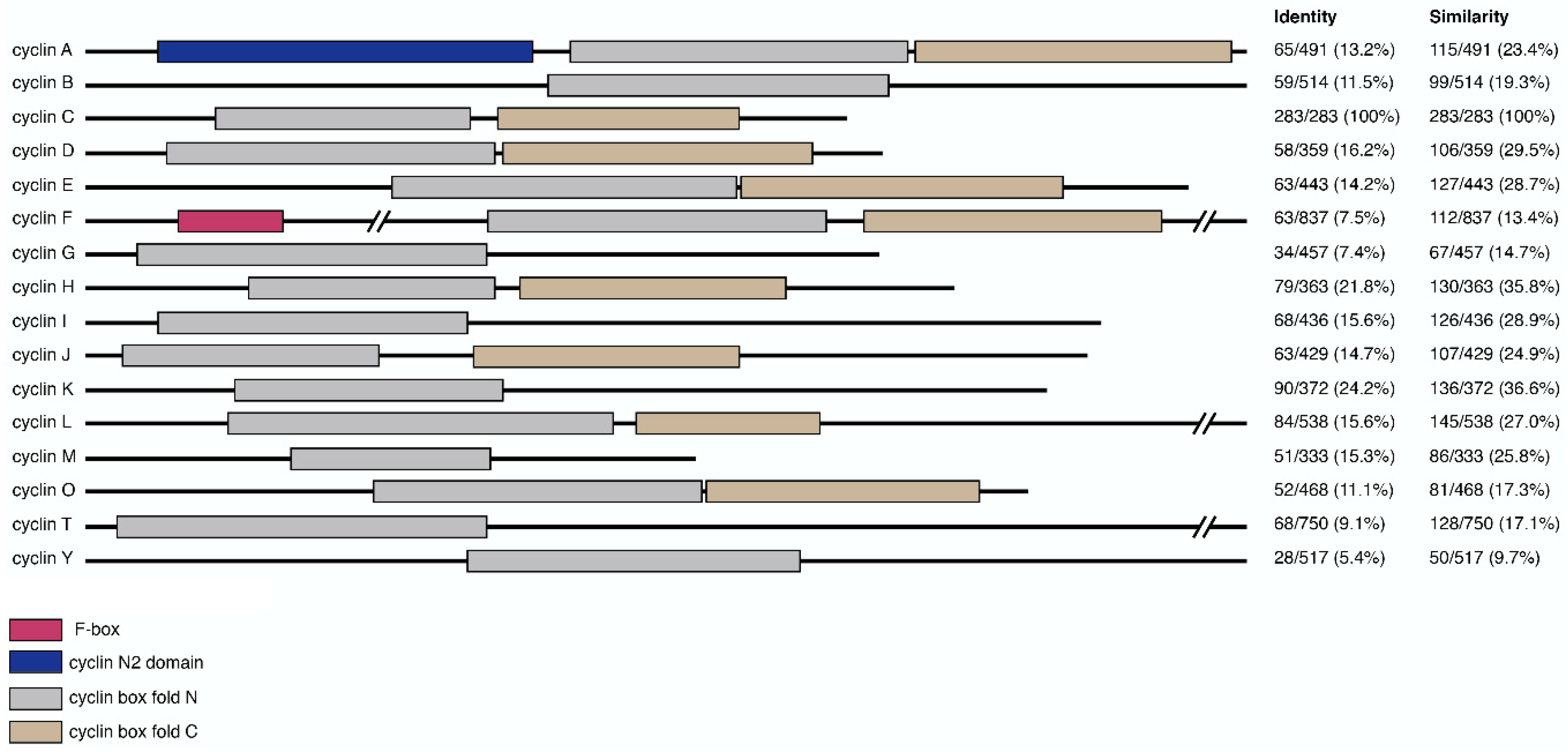 Biology 08 00003 g001