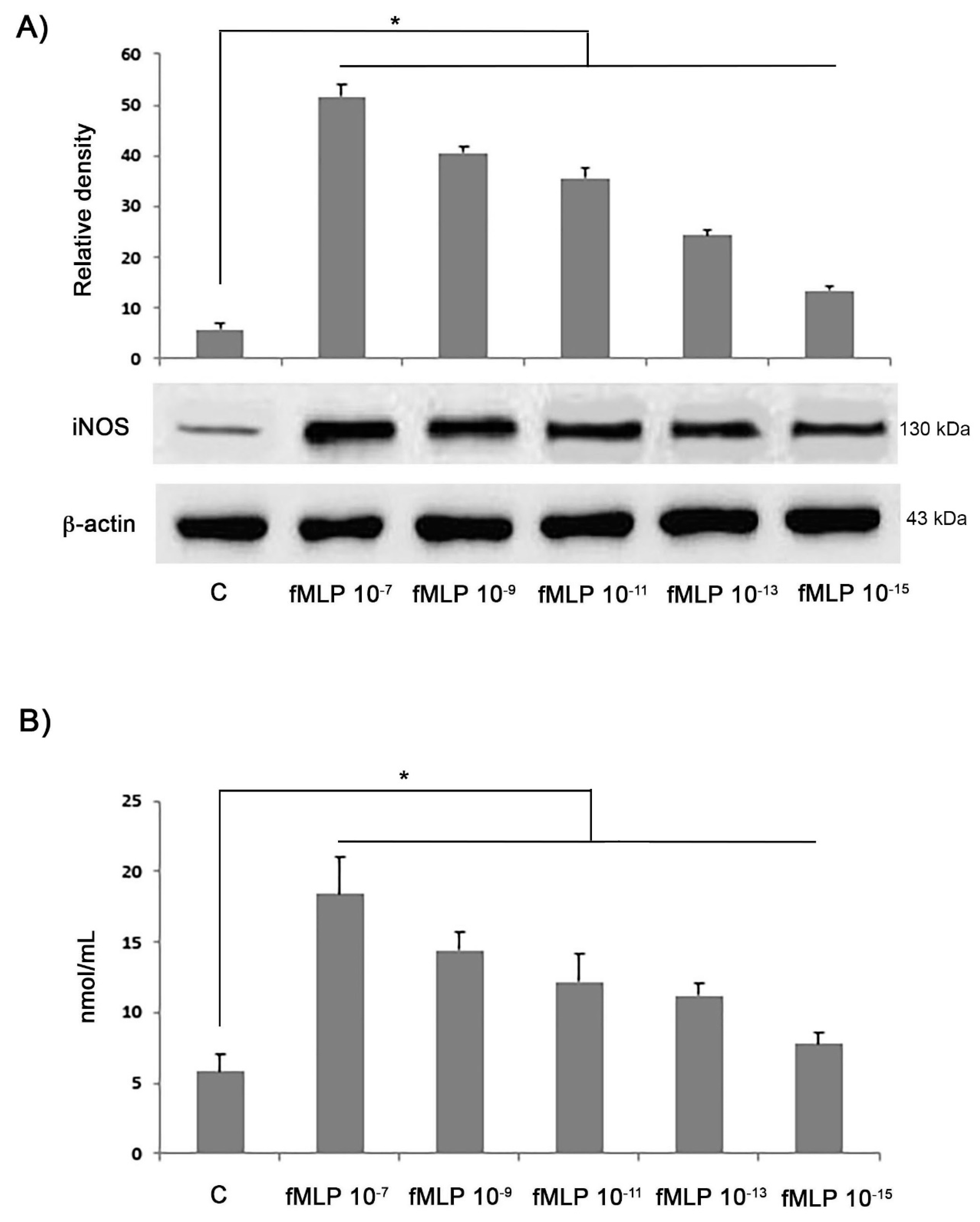 Biology 08 00004 g002 Biology 08 00004 g002
