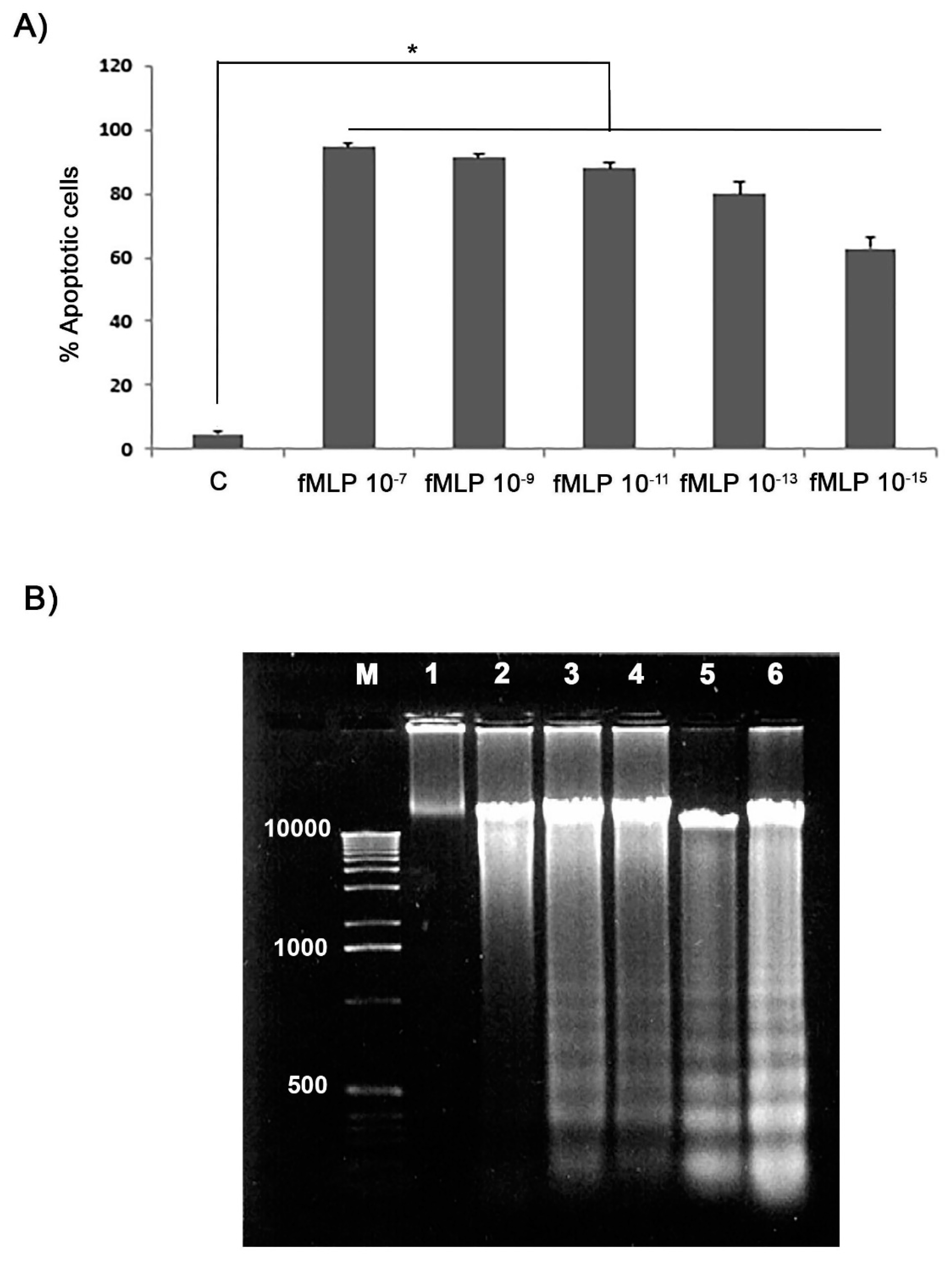 Biology 08 00004 g003 Biology 08 00004 g003