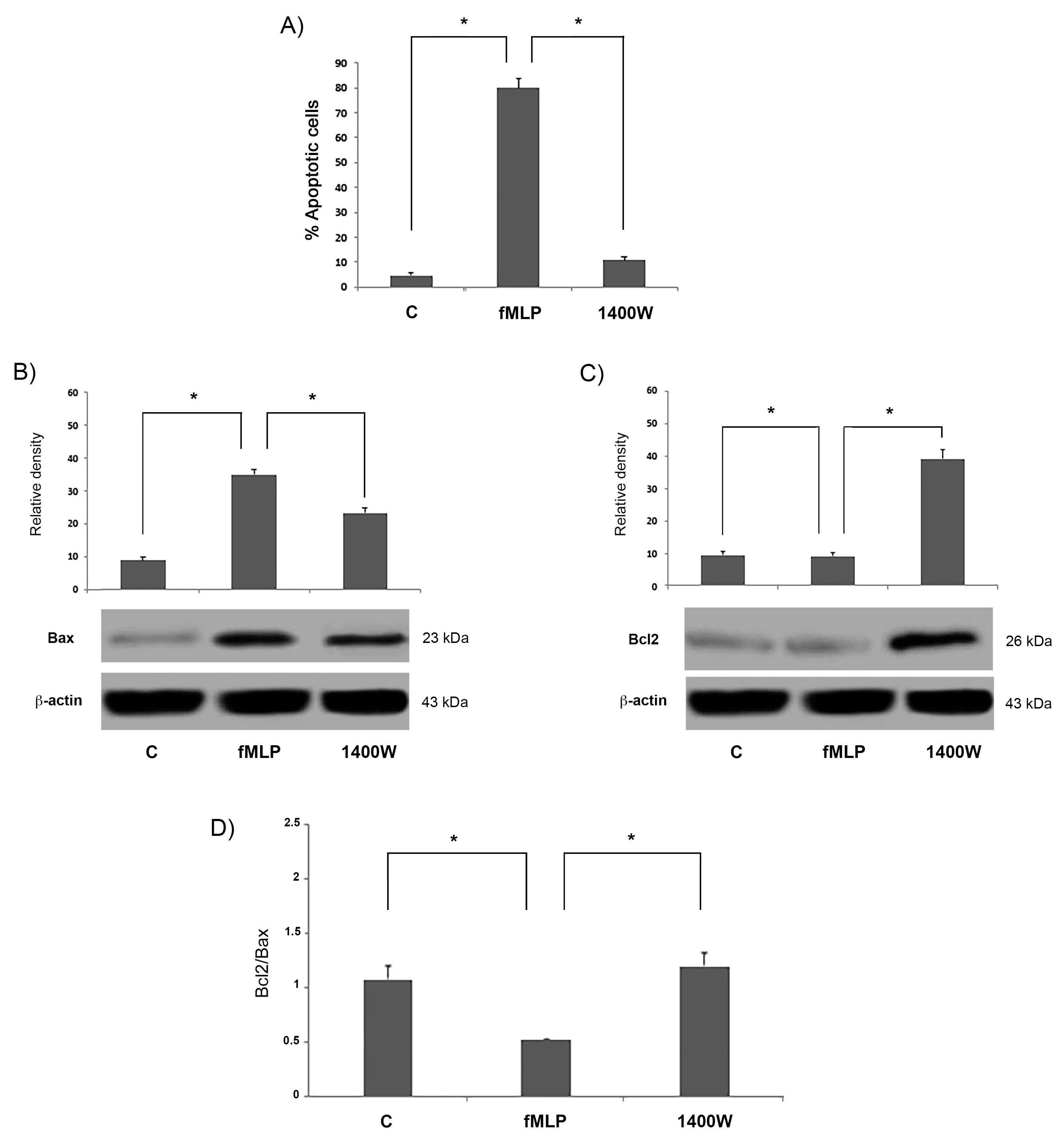 Biology 08 00004 g006 Biology 08 00004 g006