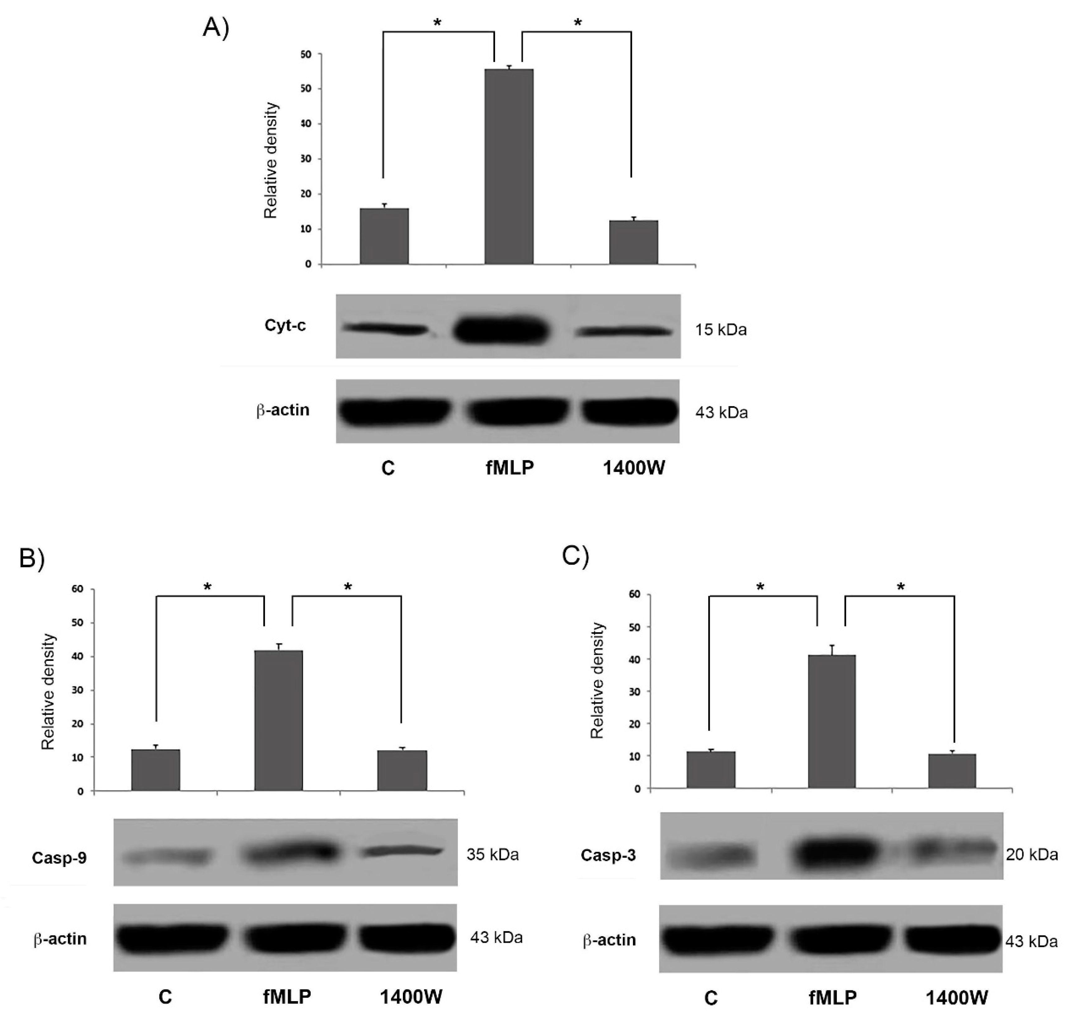 Biology 08 00004 g007 Biology 08 00004 g007