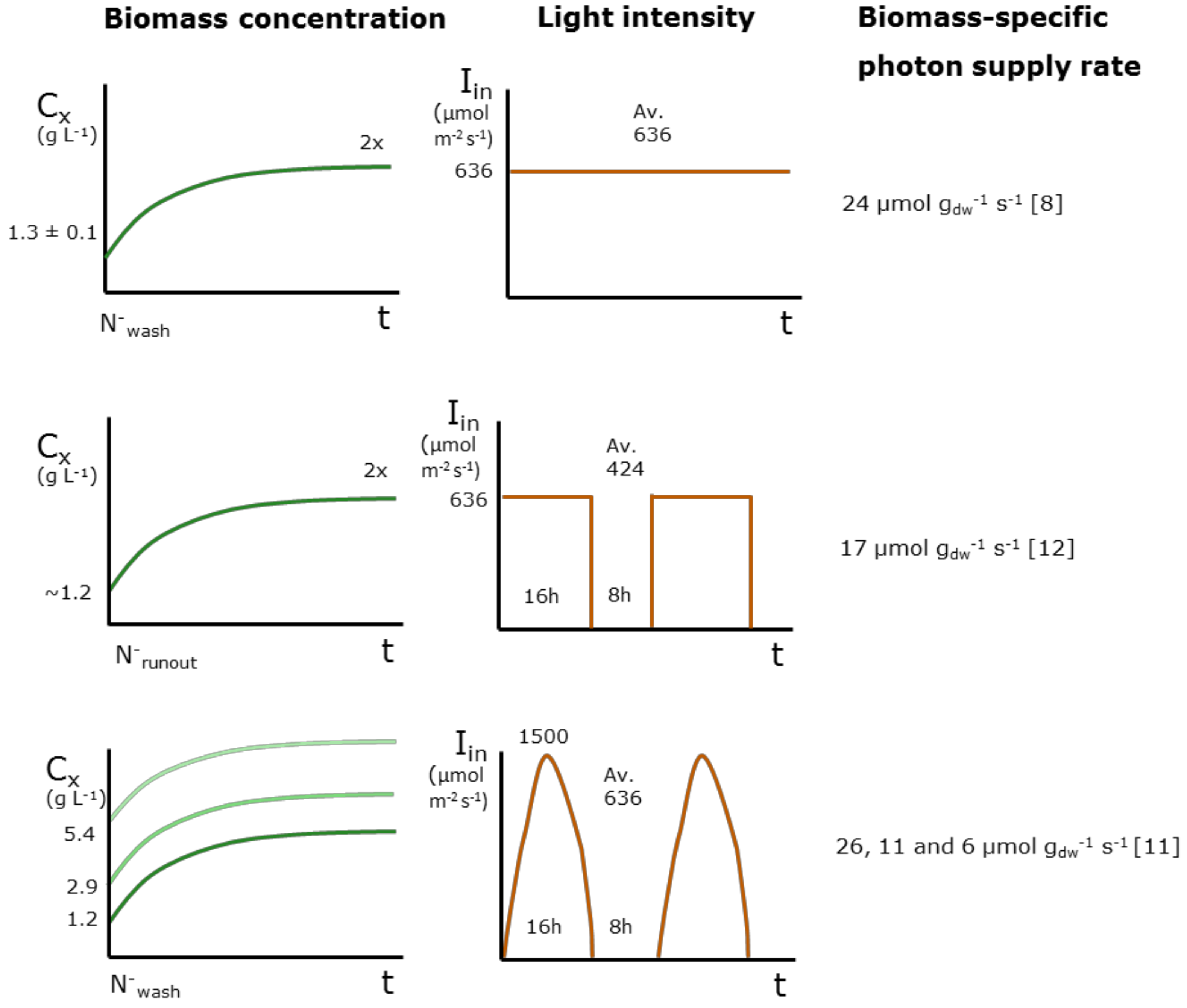 Biology 08 00005 g001