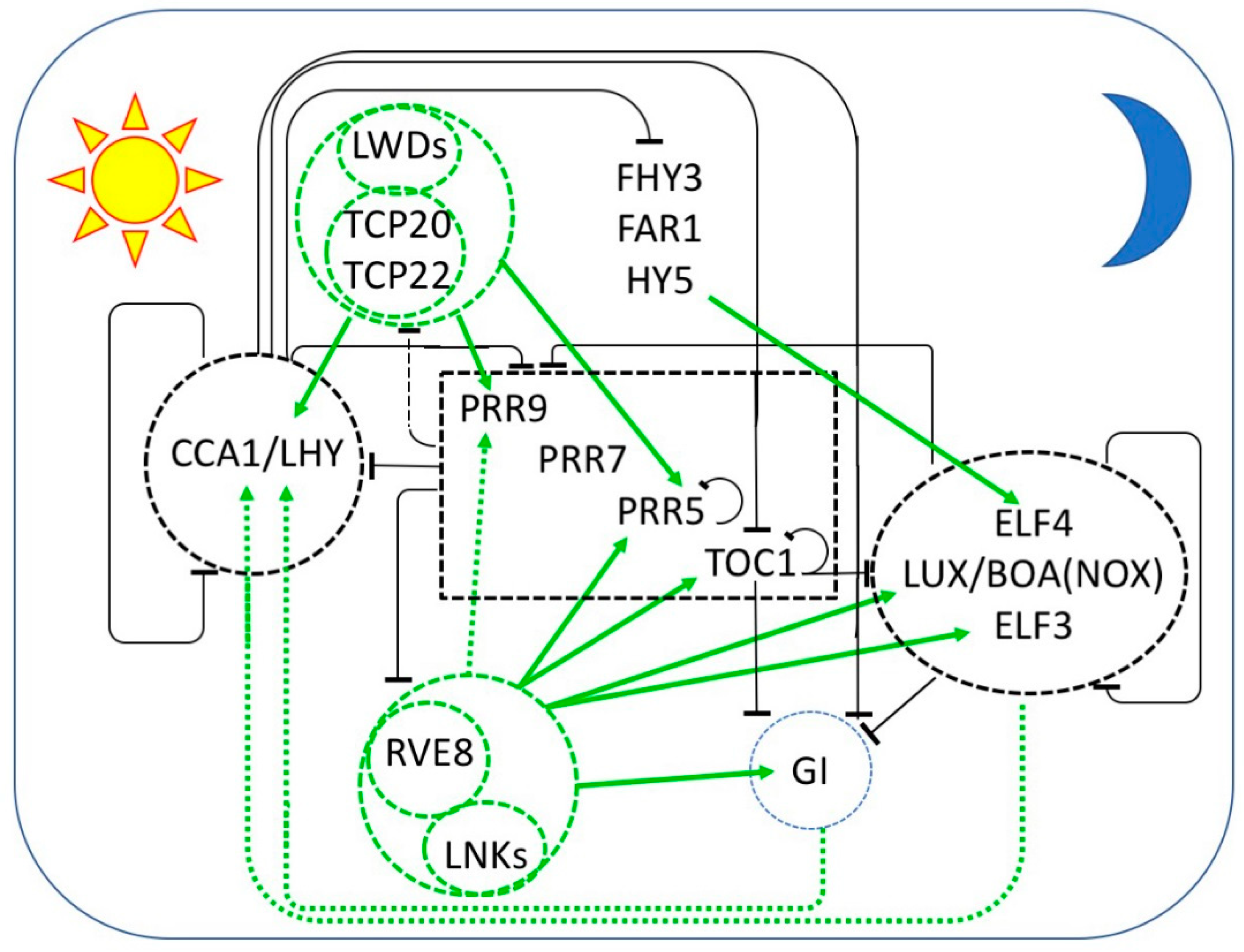 Biology 08 00014 g001