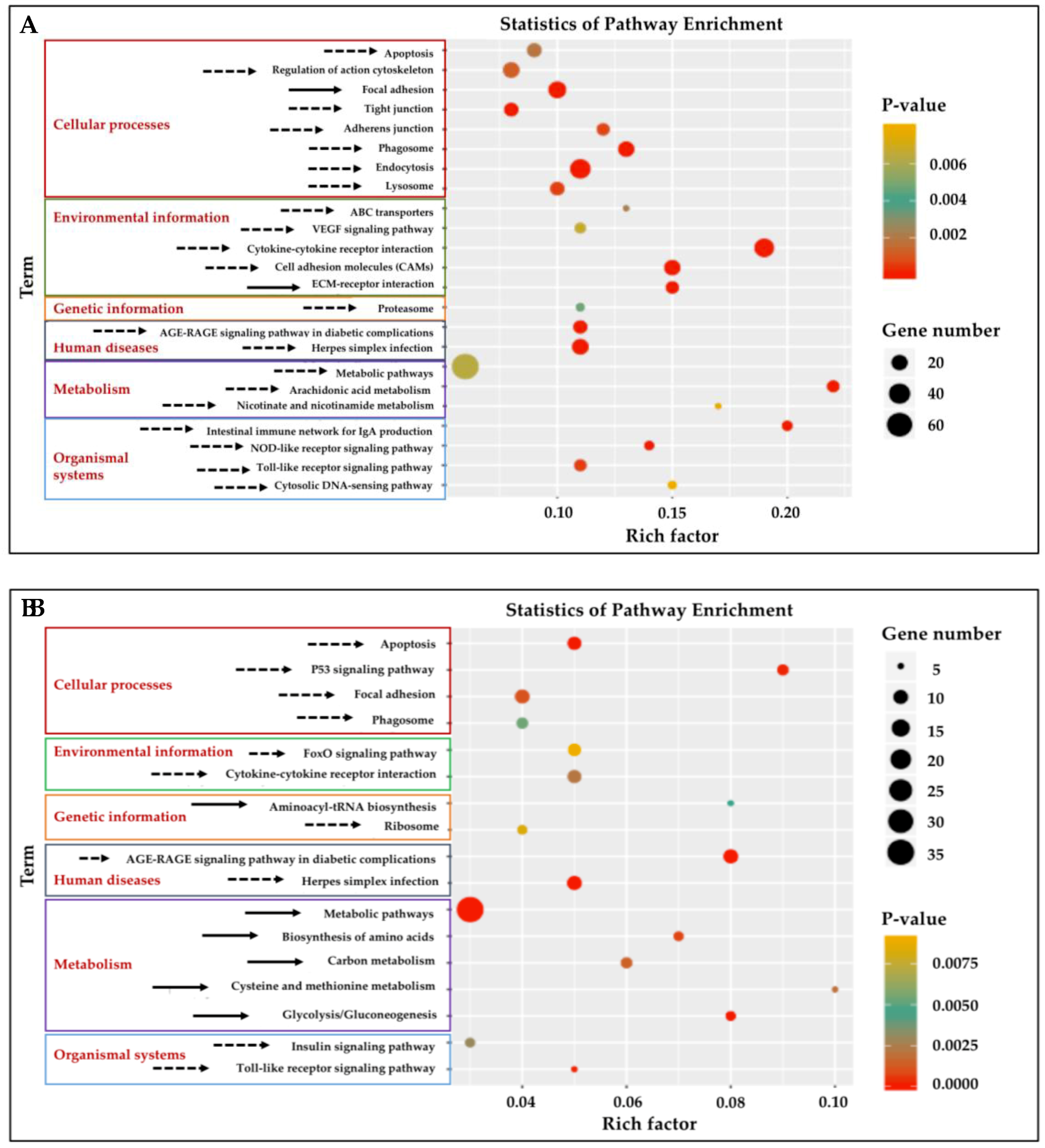 Biology 08 00021 g003