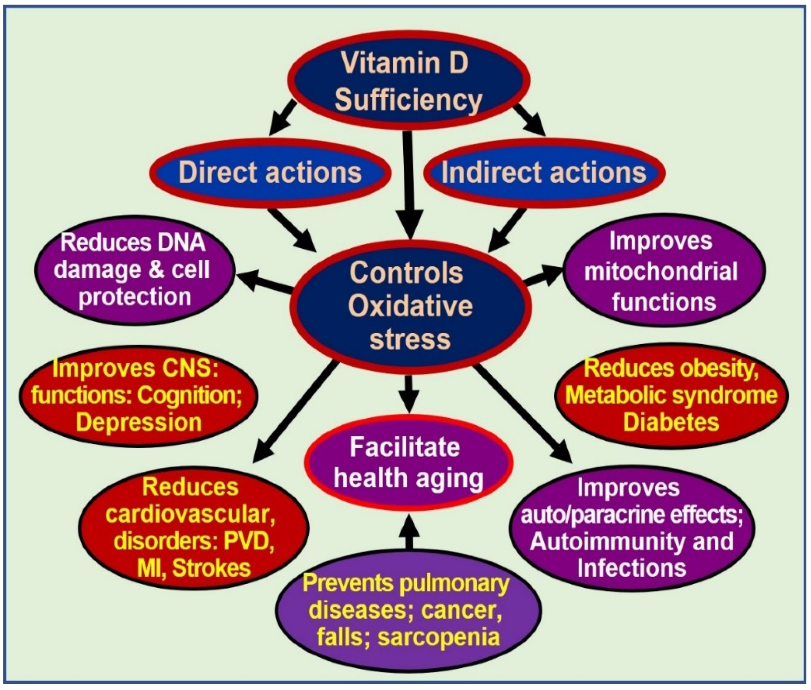 Biology 08 00030 g002