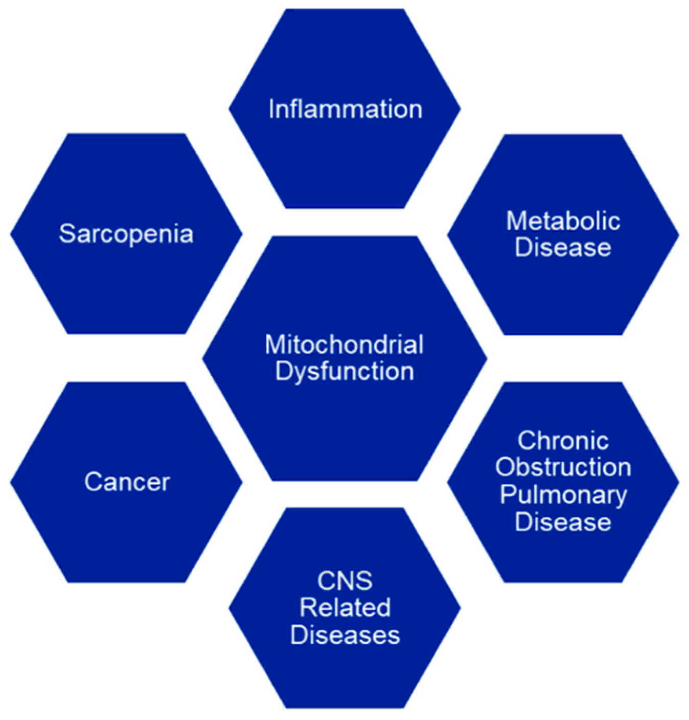 Biology 08 00032 g001