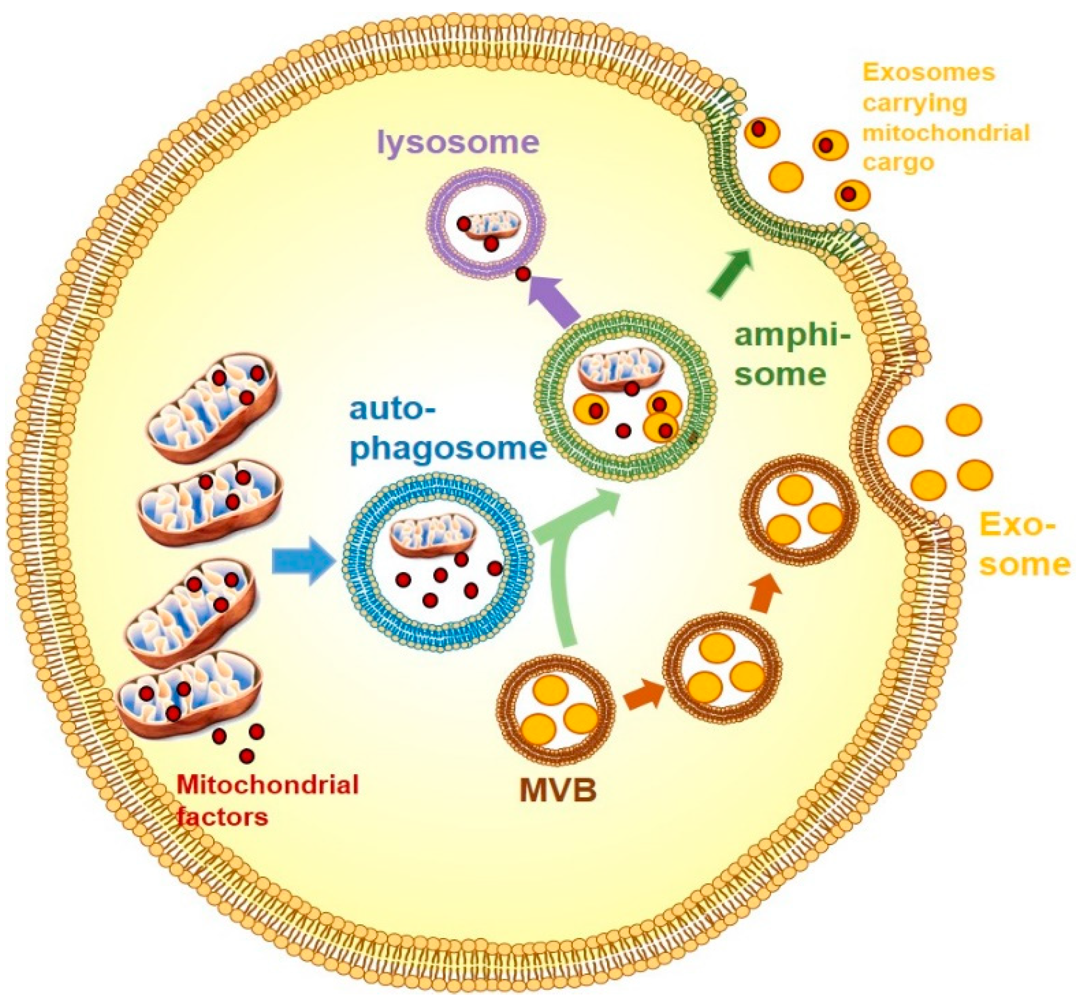 Biology 08 00033 g001