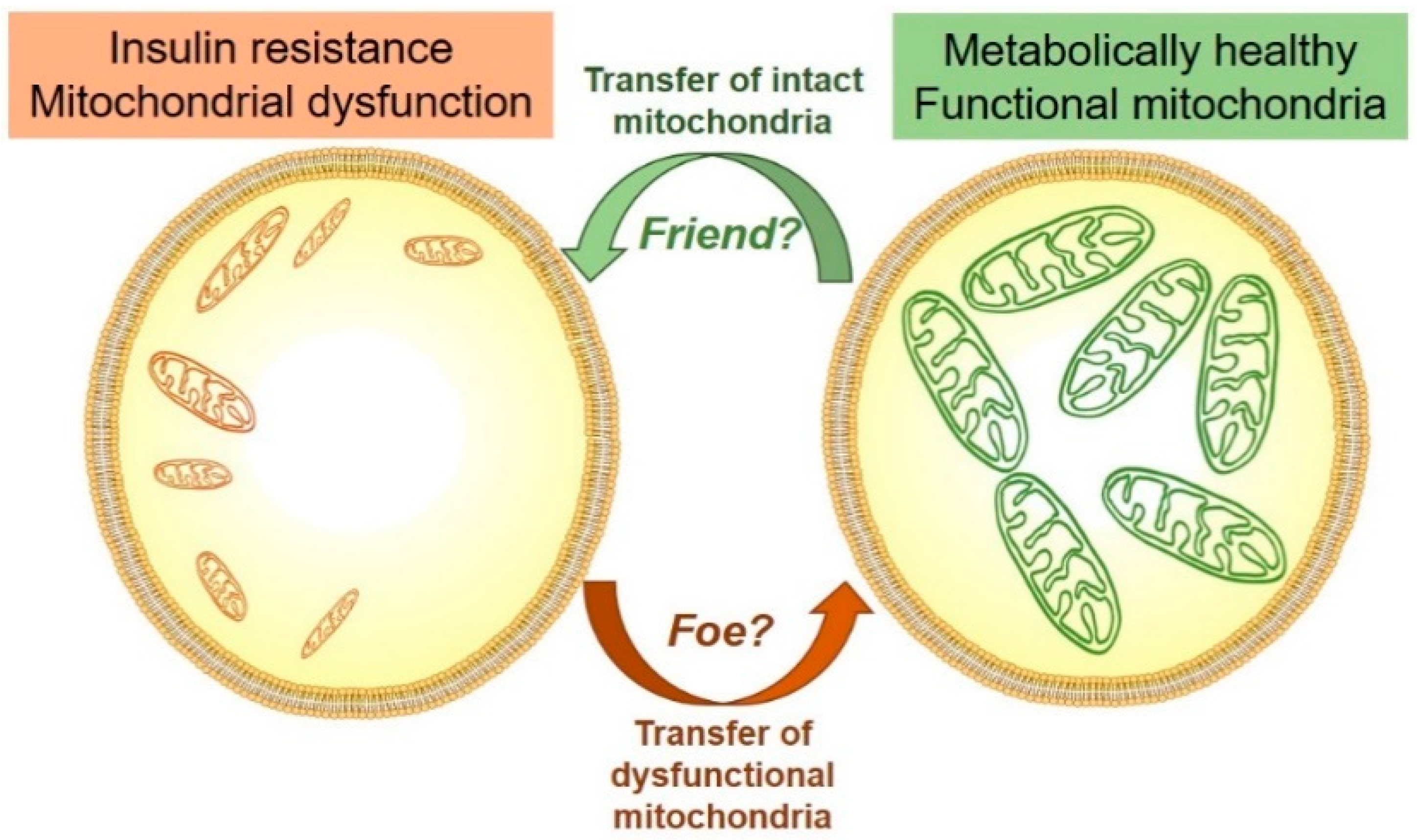 Biology 08 00033 g002