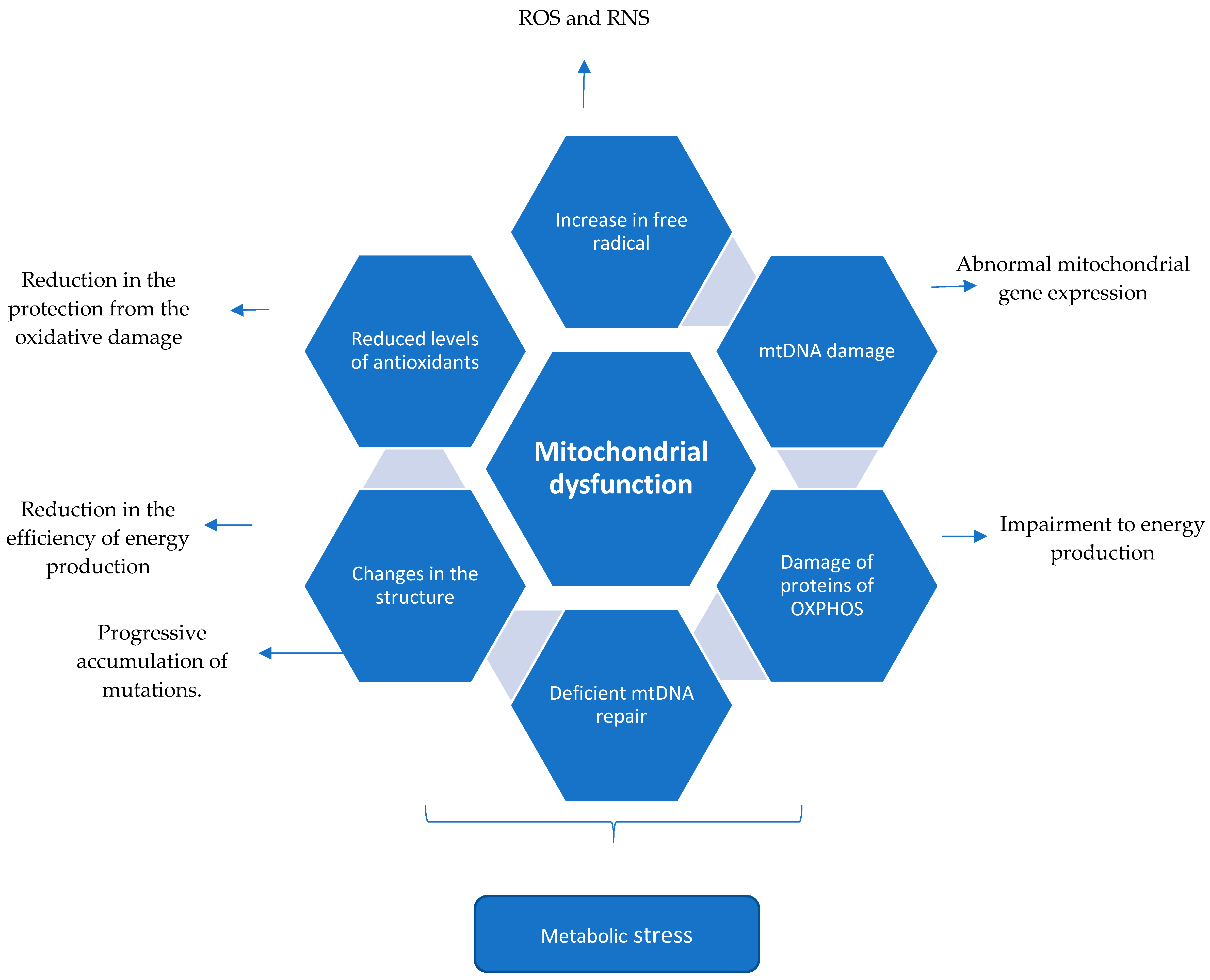Biology 08 00037 g001