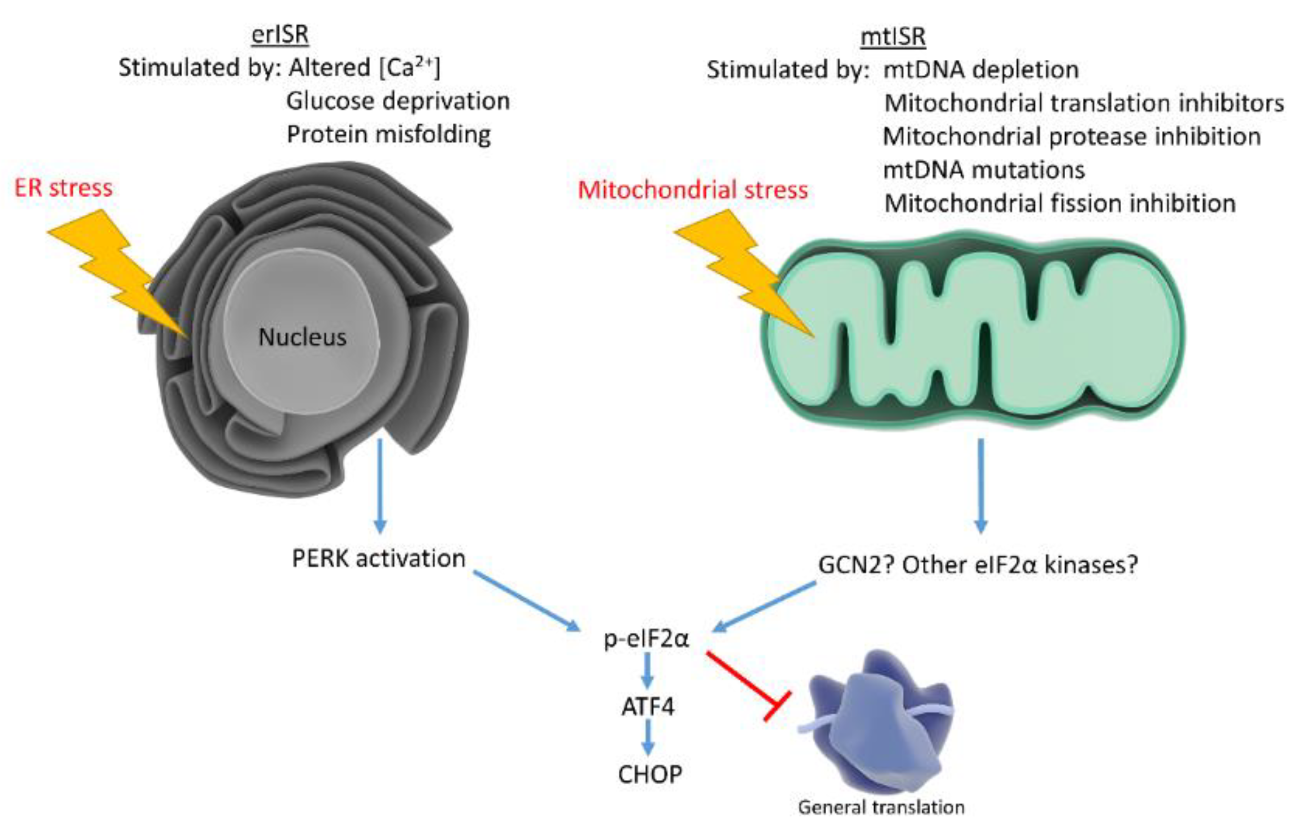 Biology 08 00039 g002