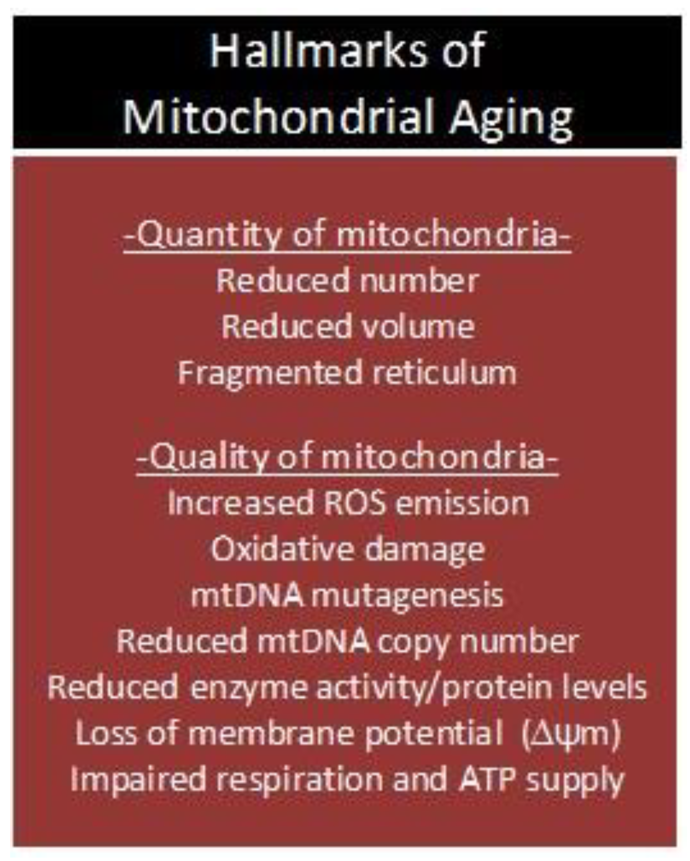 Biology 08 00040 g003 Biology 08 00040 g003