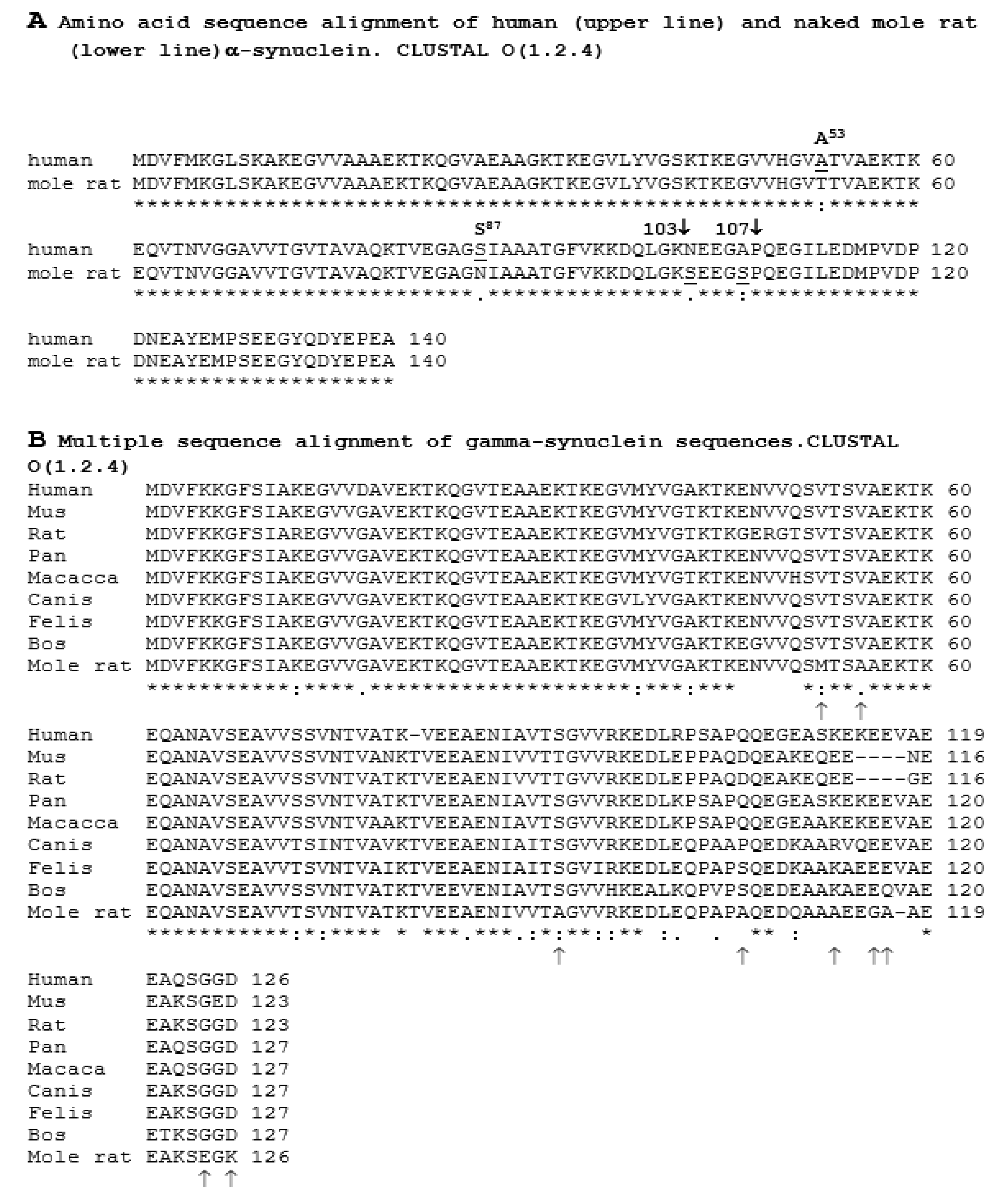 Biology 08 00043 g006