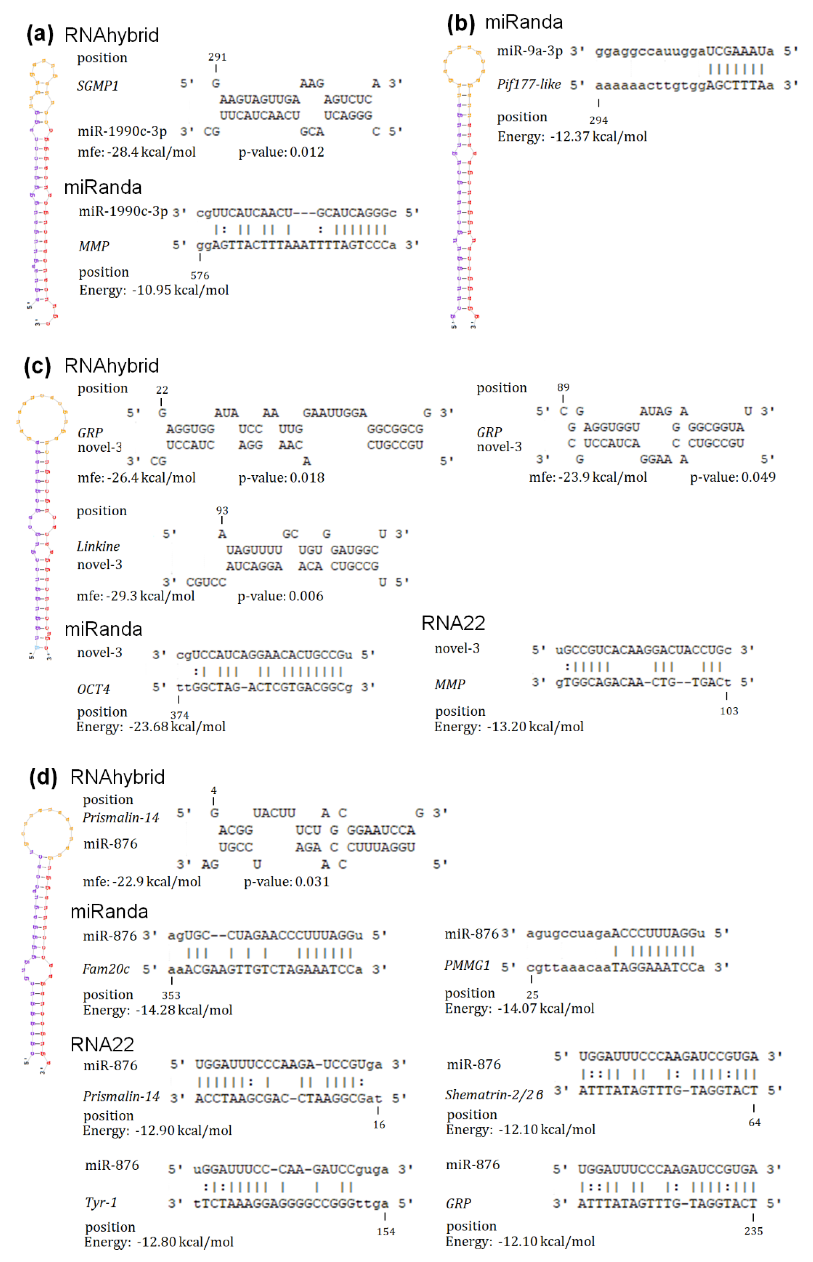 Biology 08 00047 g006