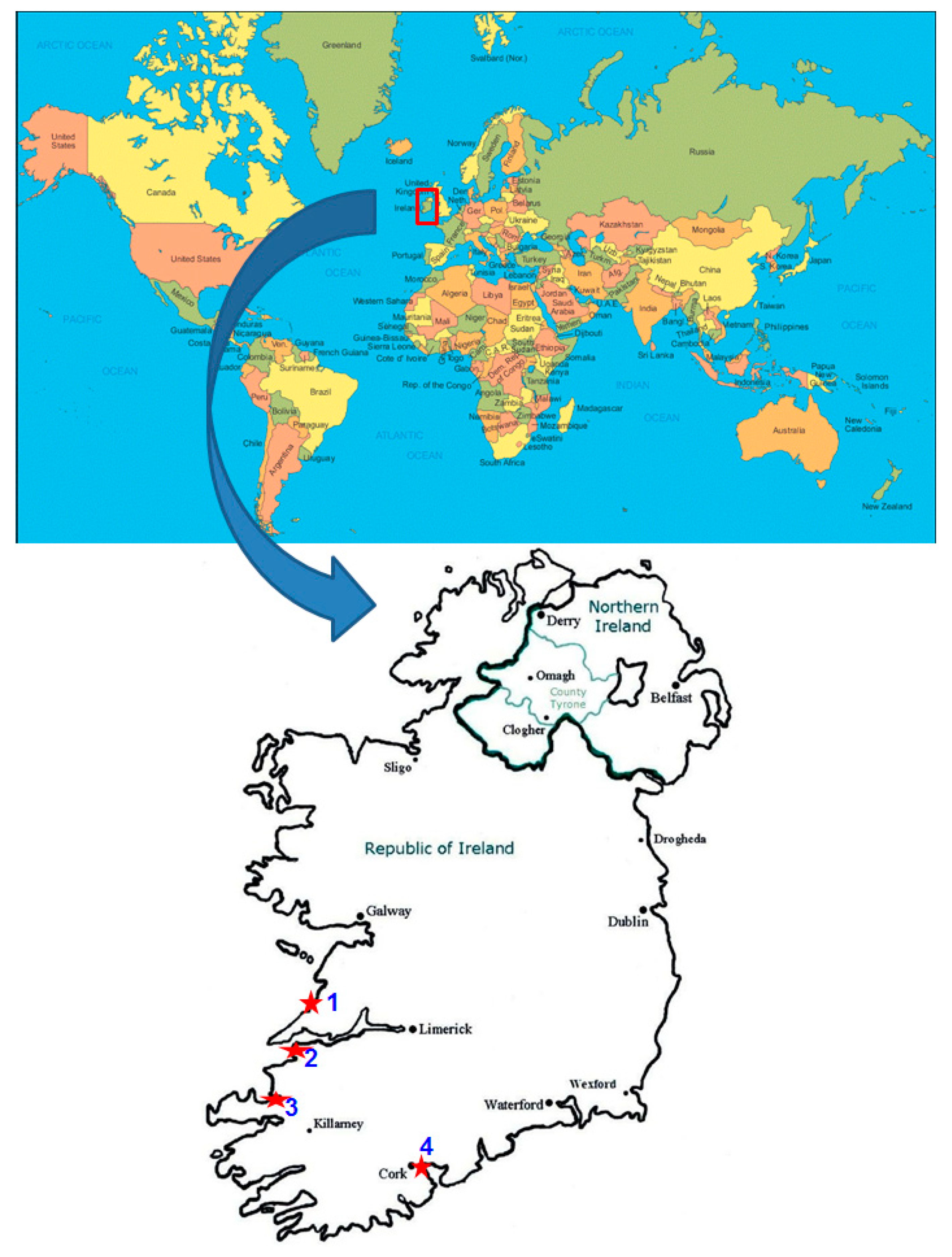 Biology 08 00059 g001 Biology 08 00059 g001