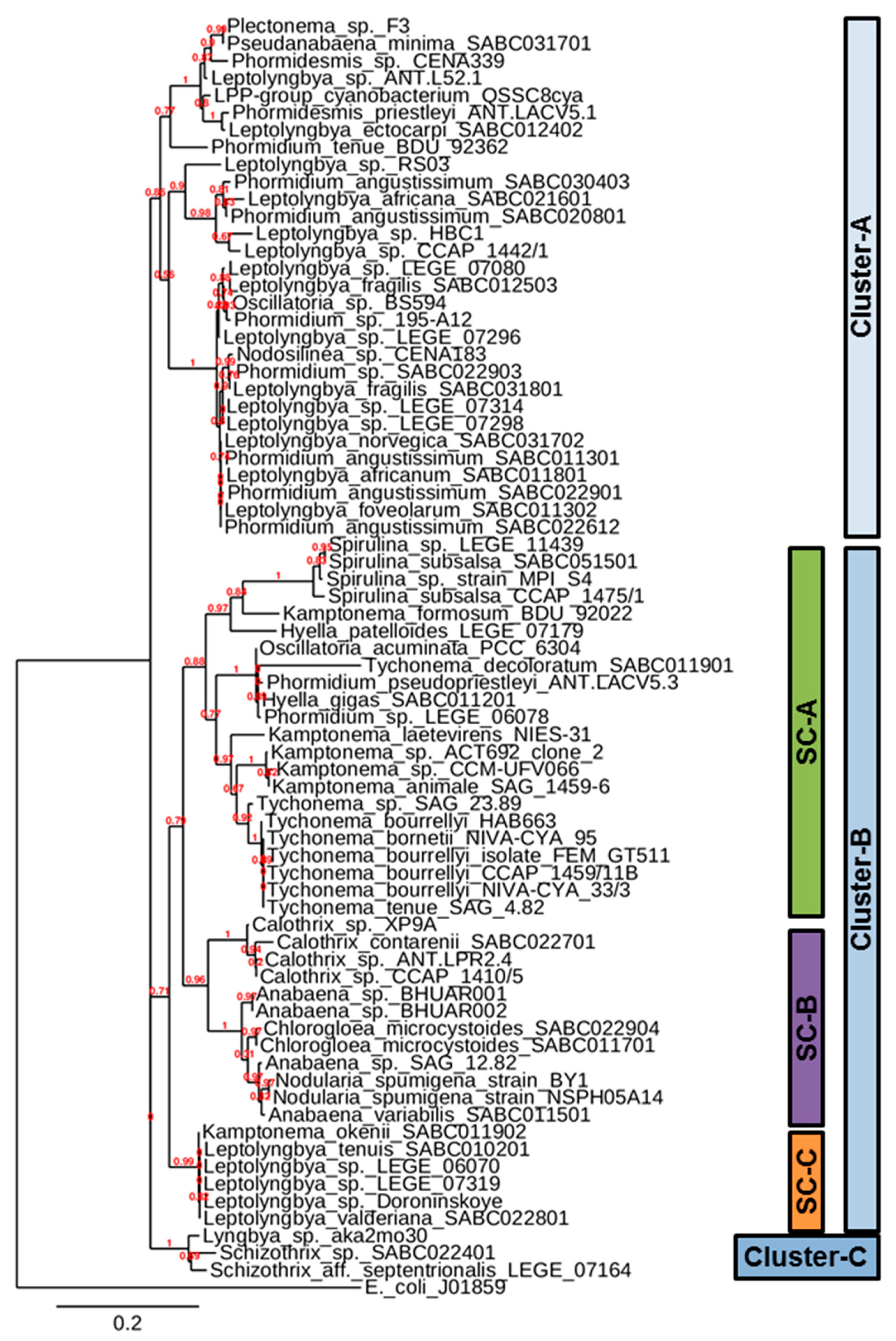 Biology 08 00059 g003 Biology 08 00059 g003