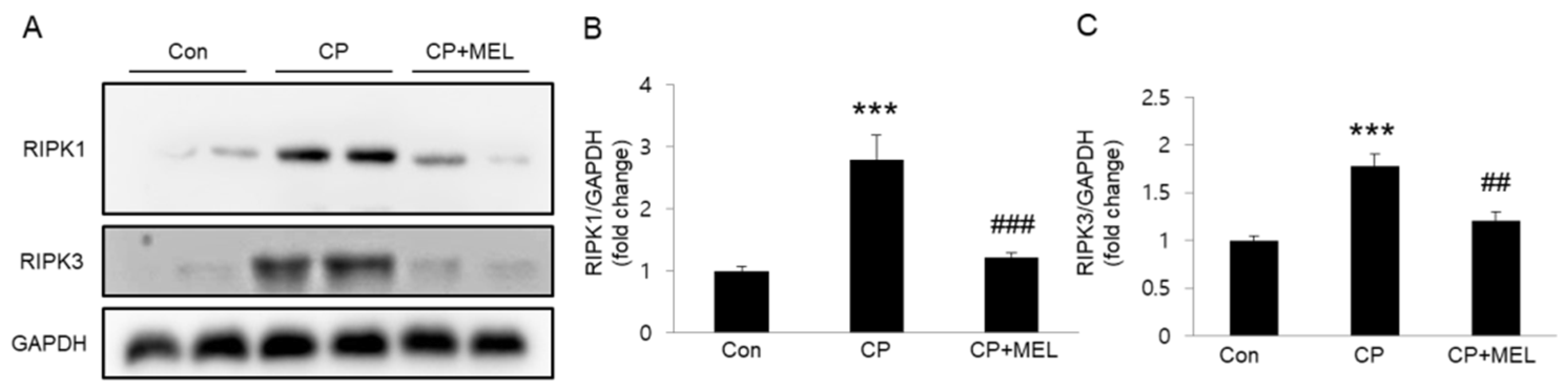 Biology 08 00064 g005