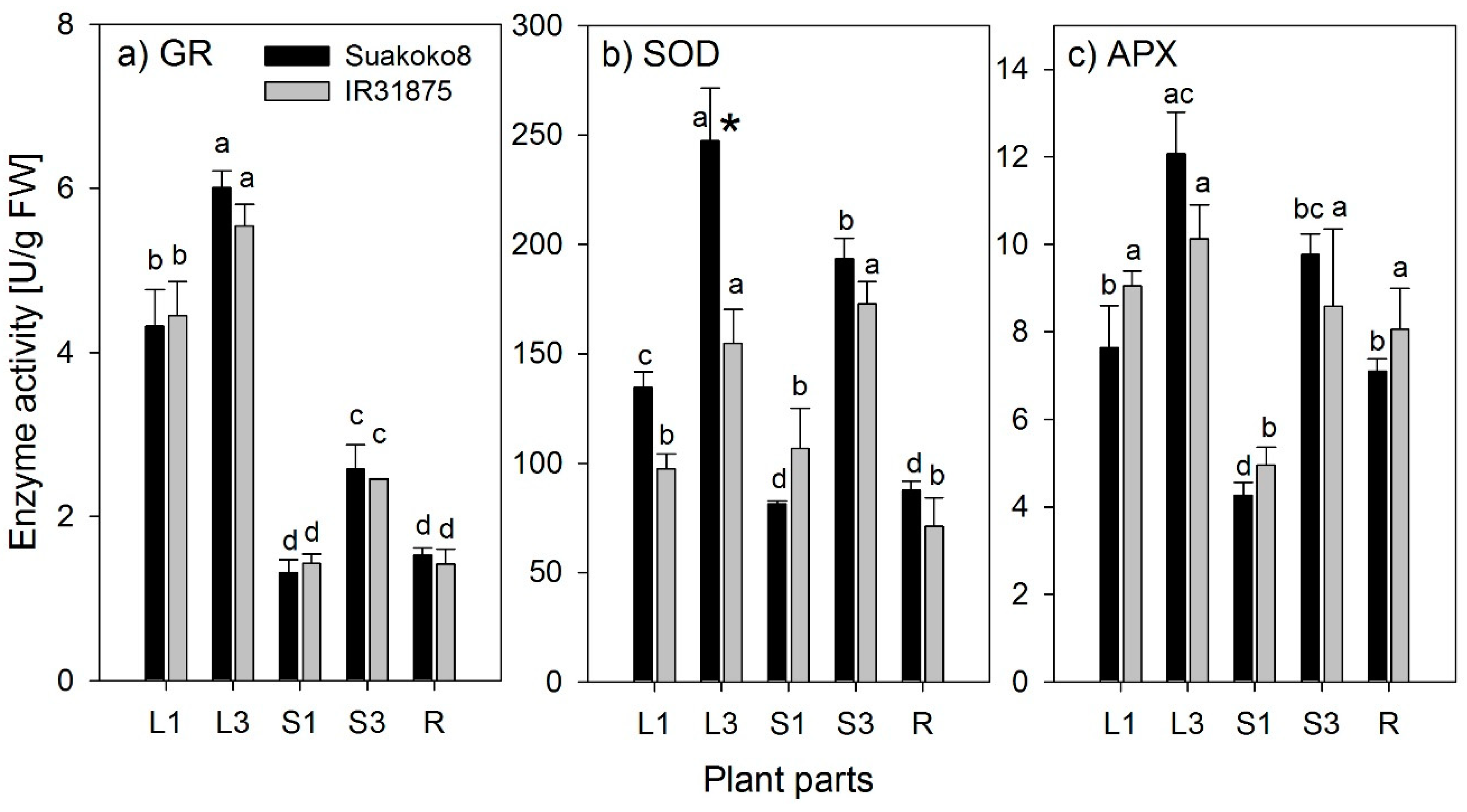 Biology 08 00070 g001