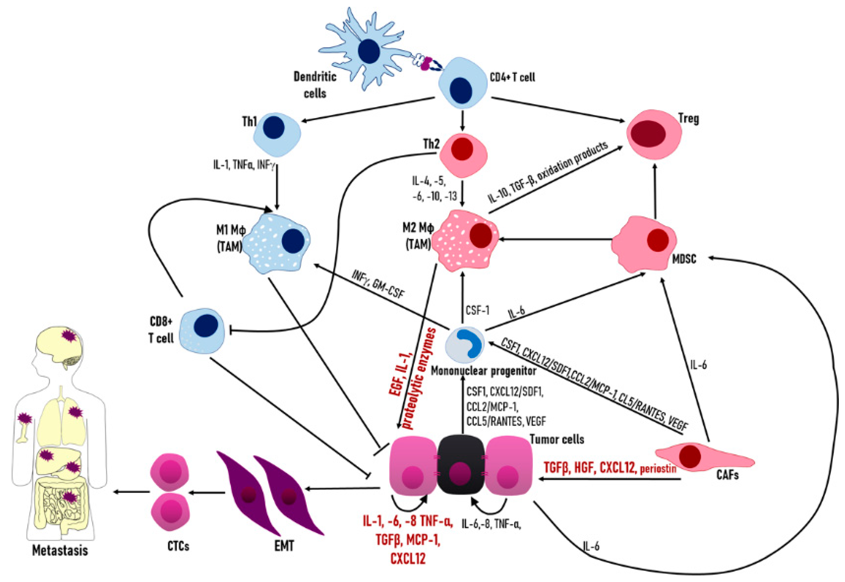 Biology 08 00071 g003