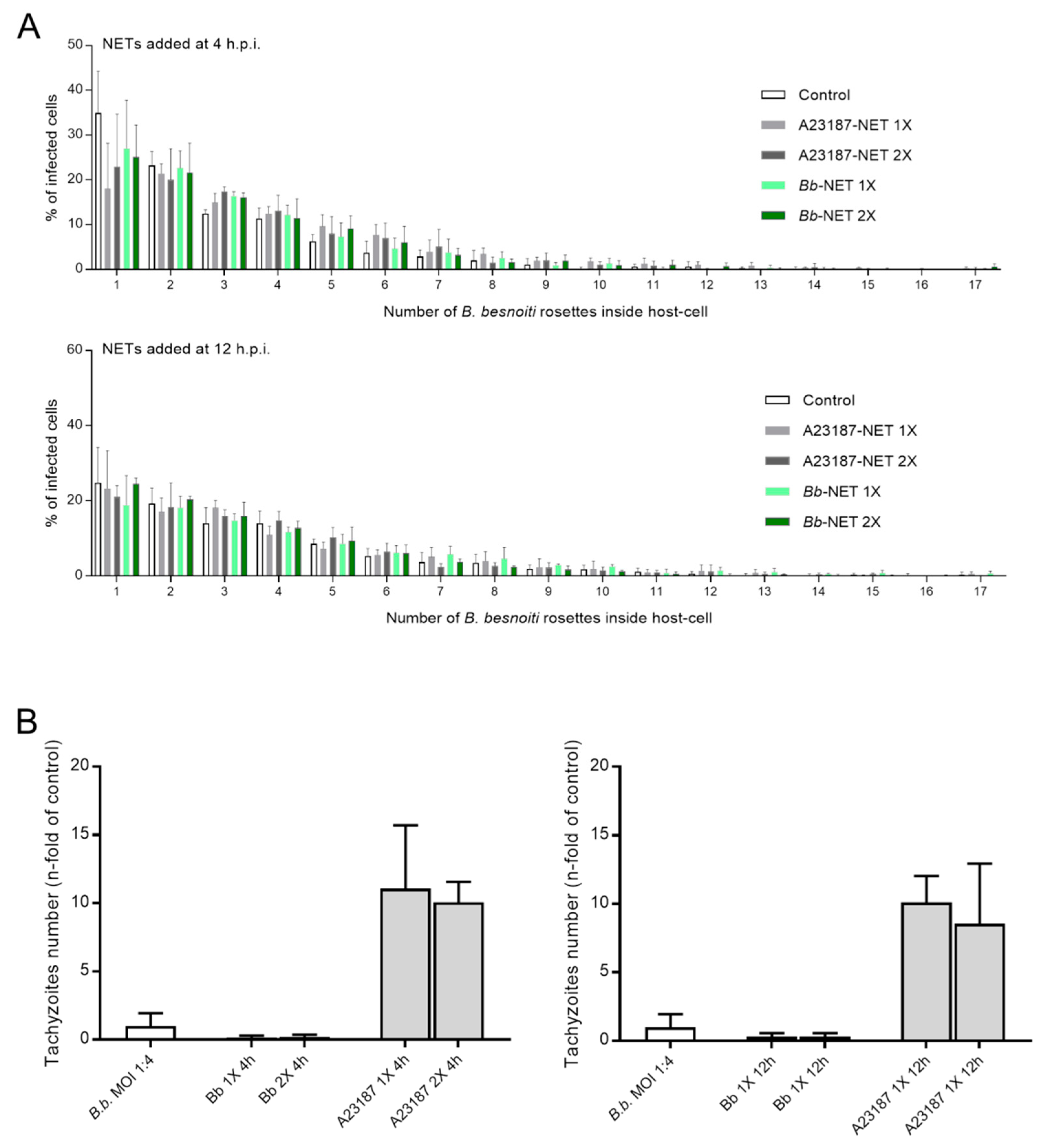 Biology 08 00078 g007