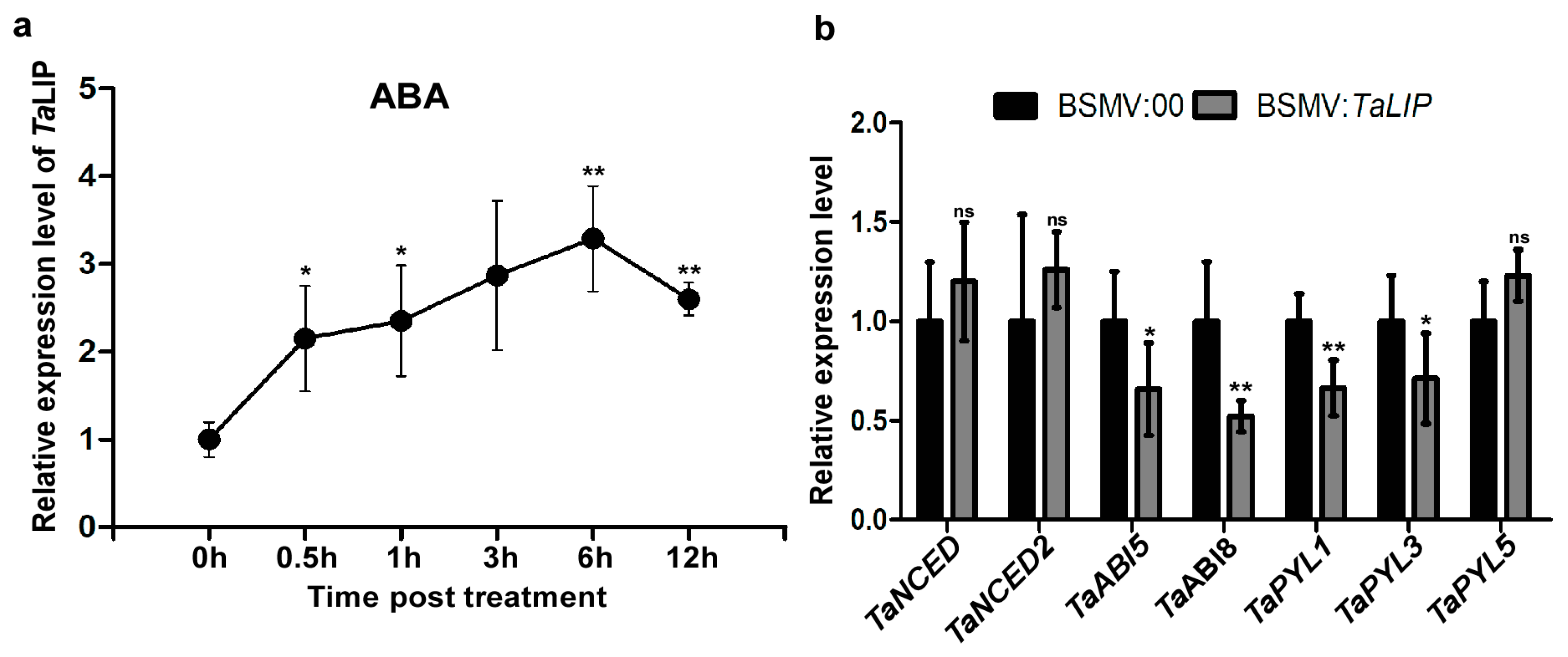 Biology 08 00080 g008
