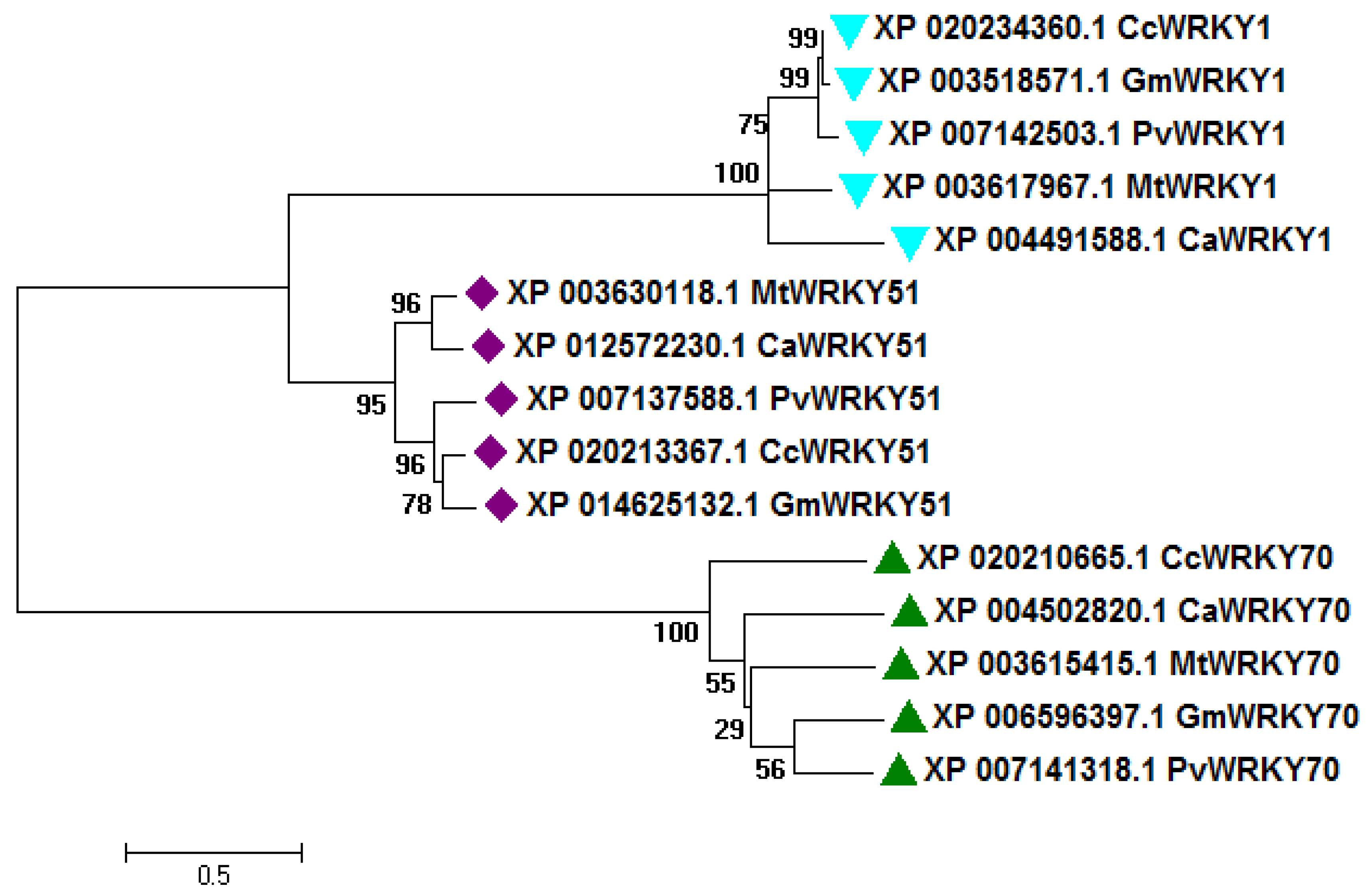 Biology 08 00083 g001