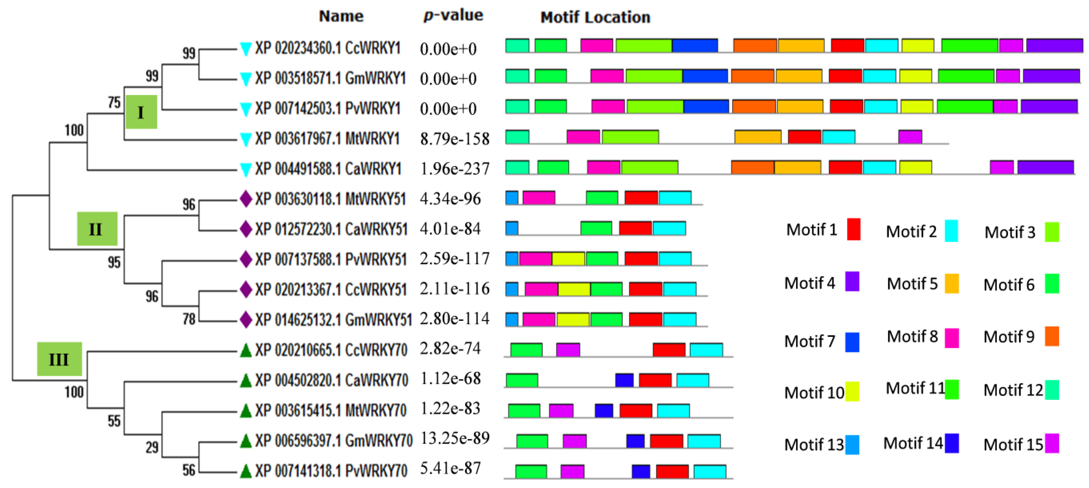 Biology 08 00083 g002