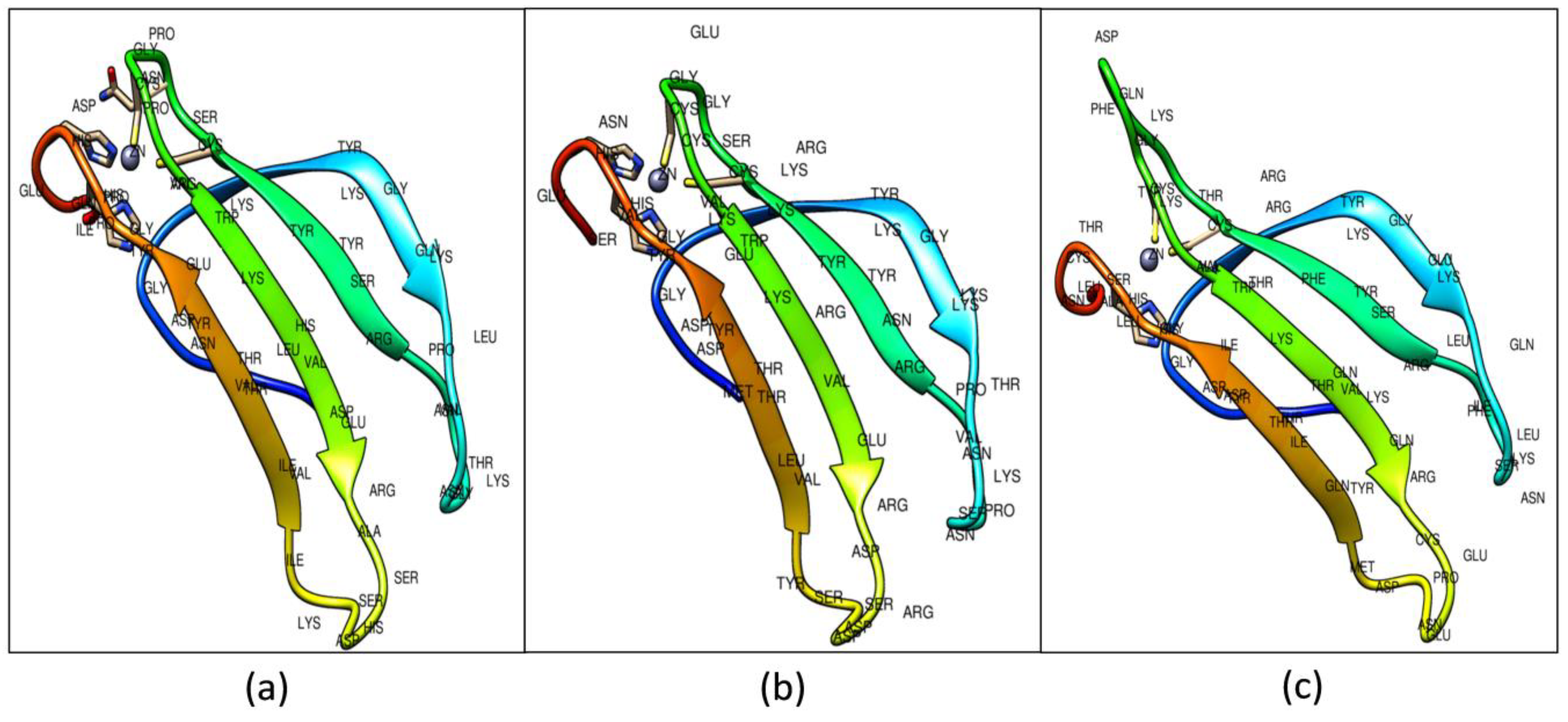 Biology 08 00083 g003