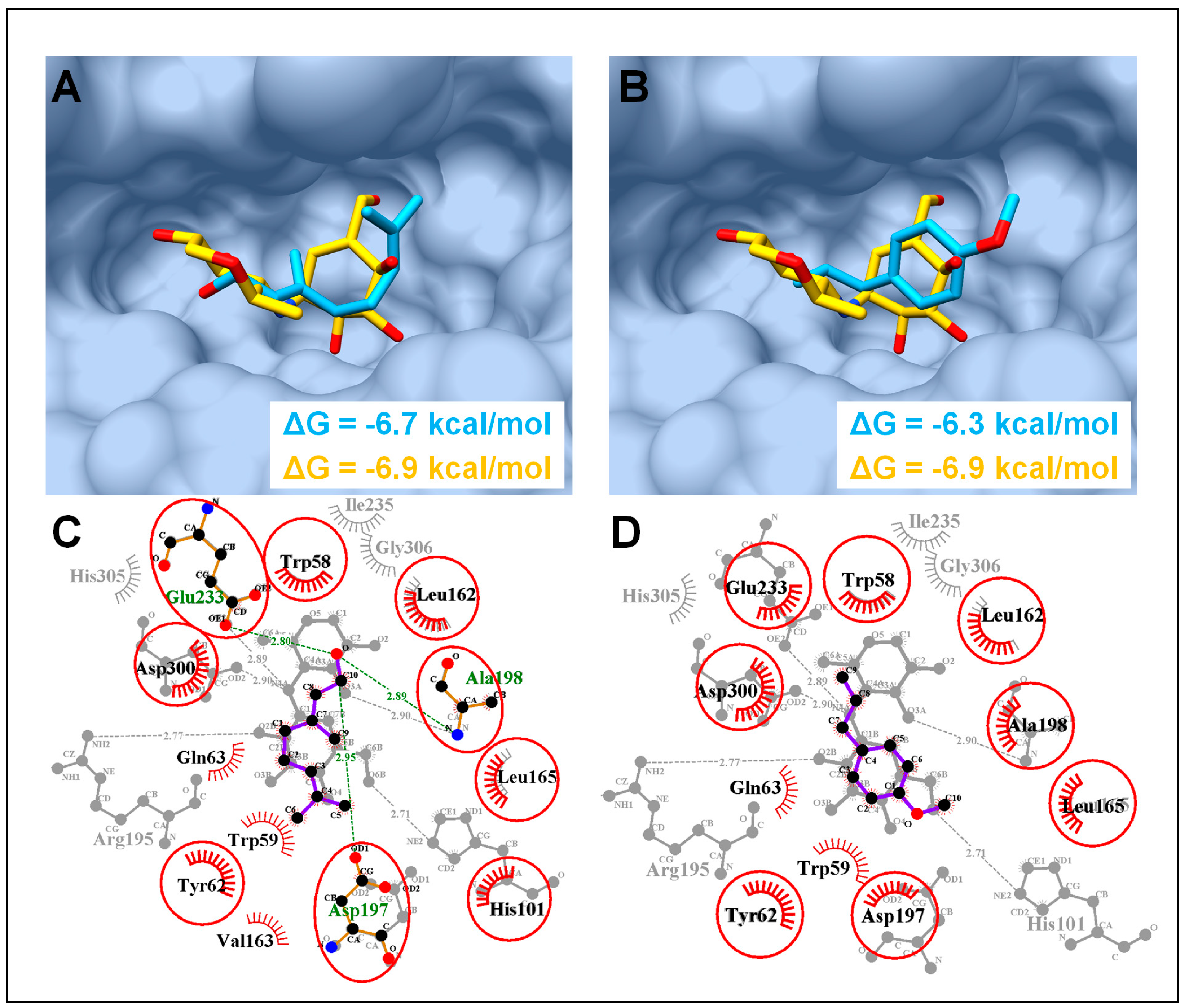 Biology 08 00092 g006