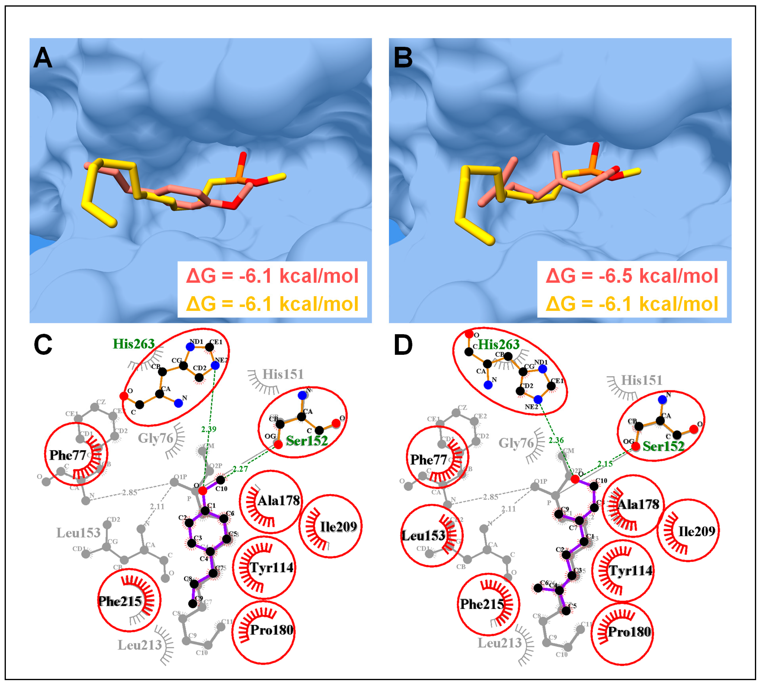 Biology 08 00092 g007
