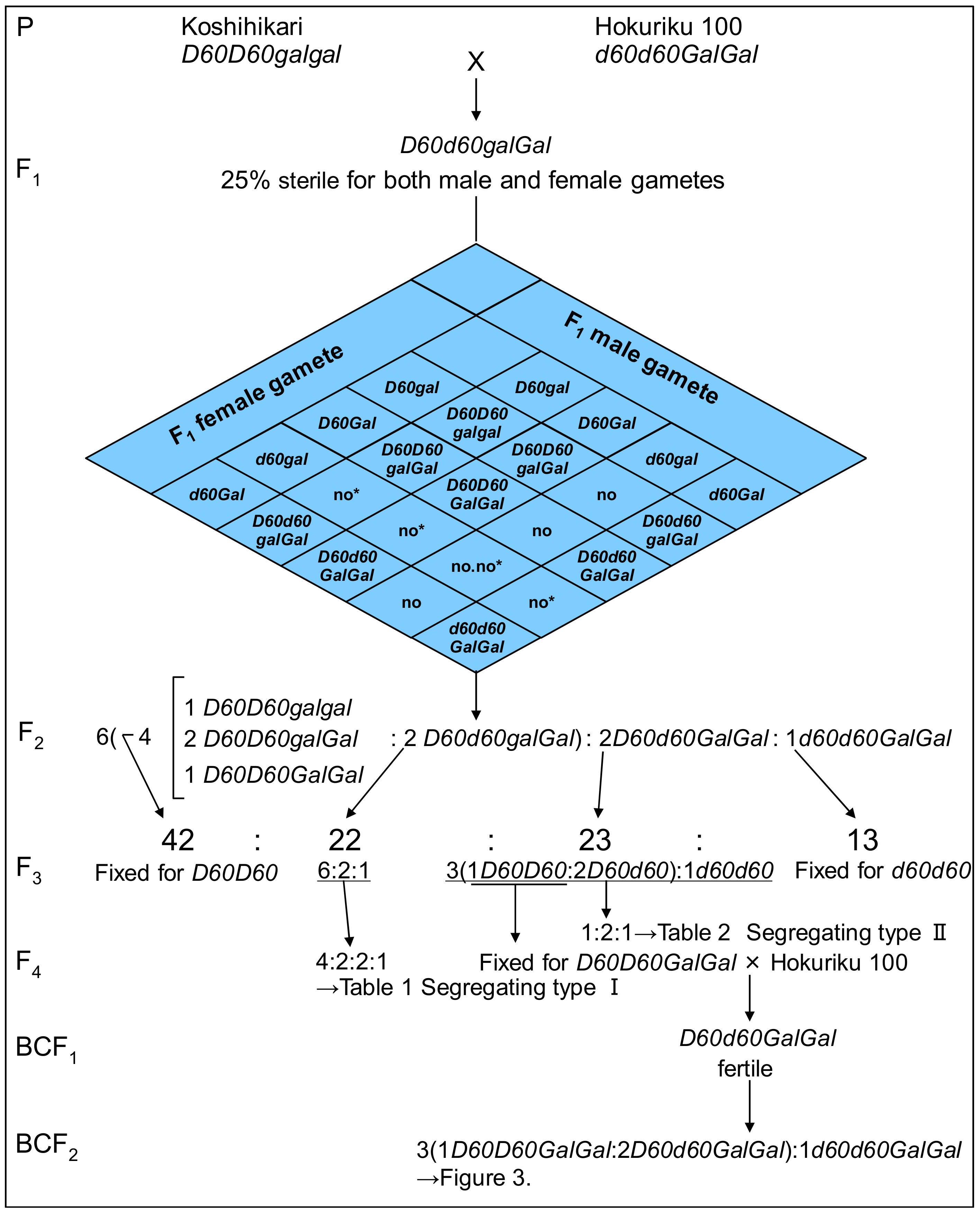 Biology 08 00094 g001