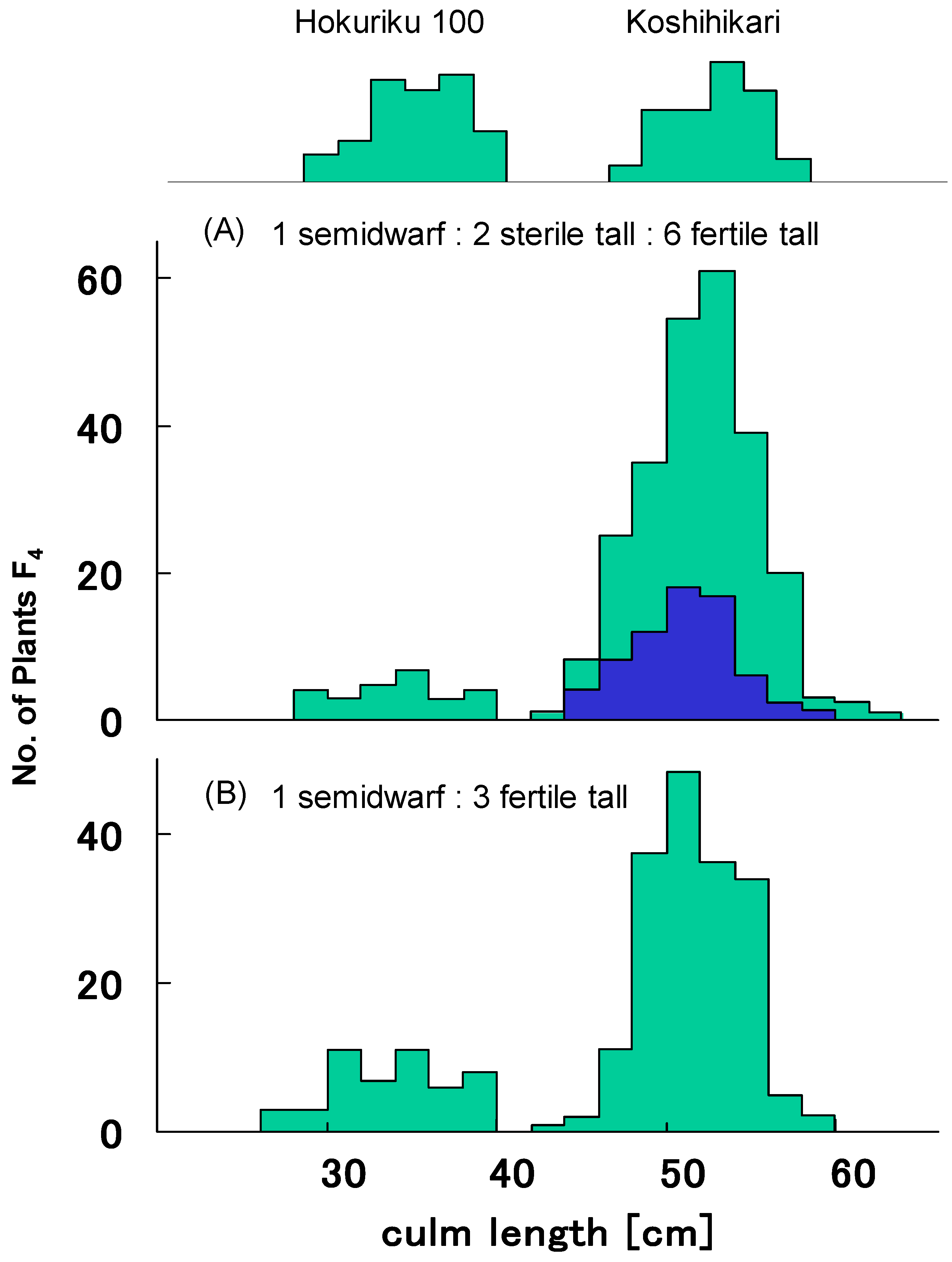 Biology 08 00094 g002