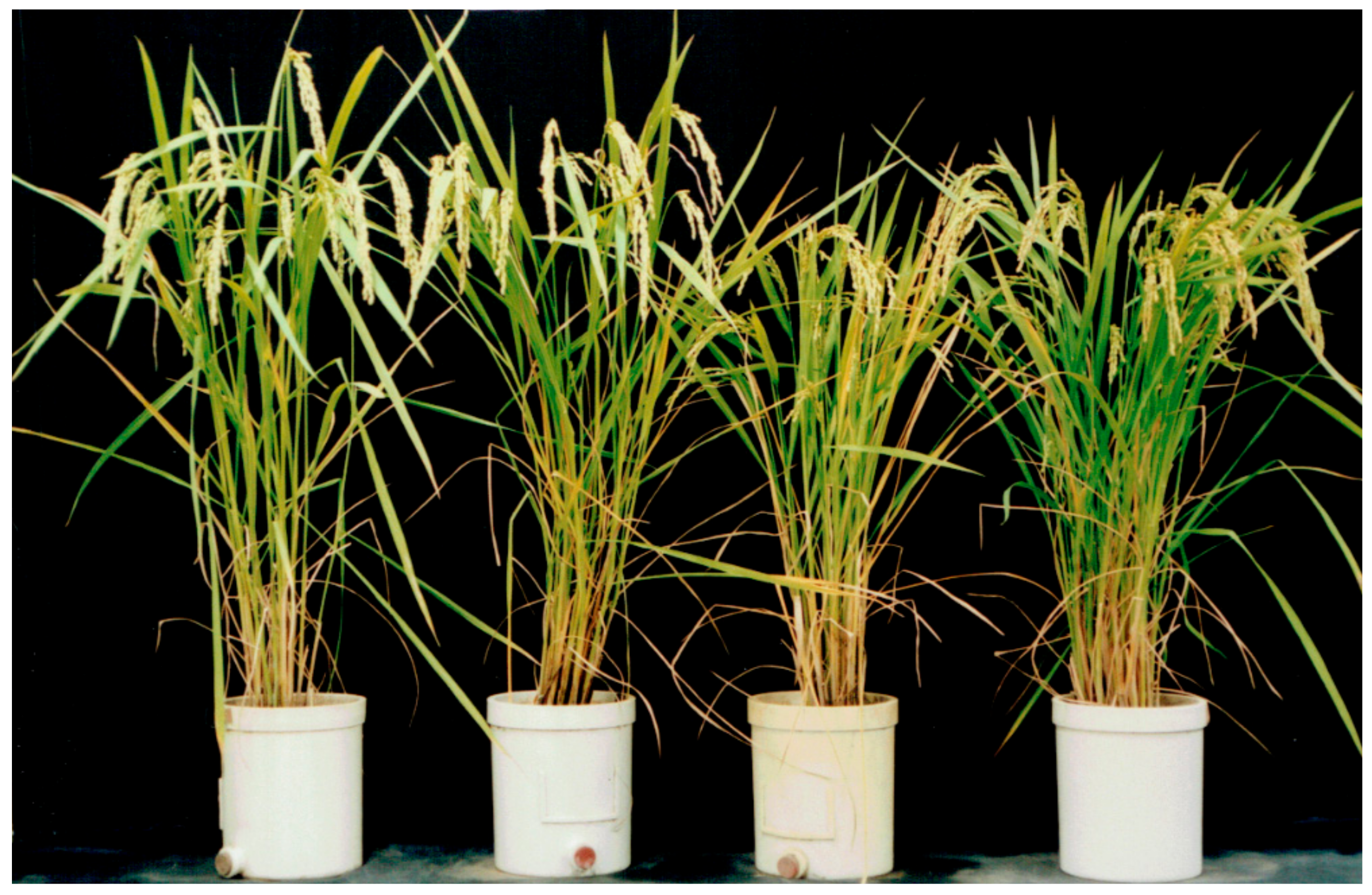 Biology 08 00094 g004