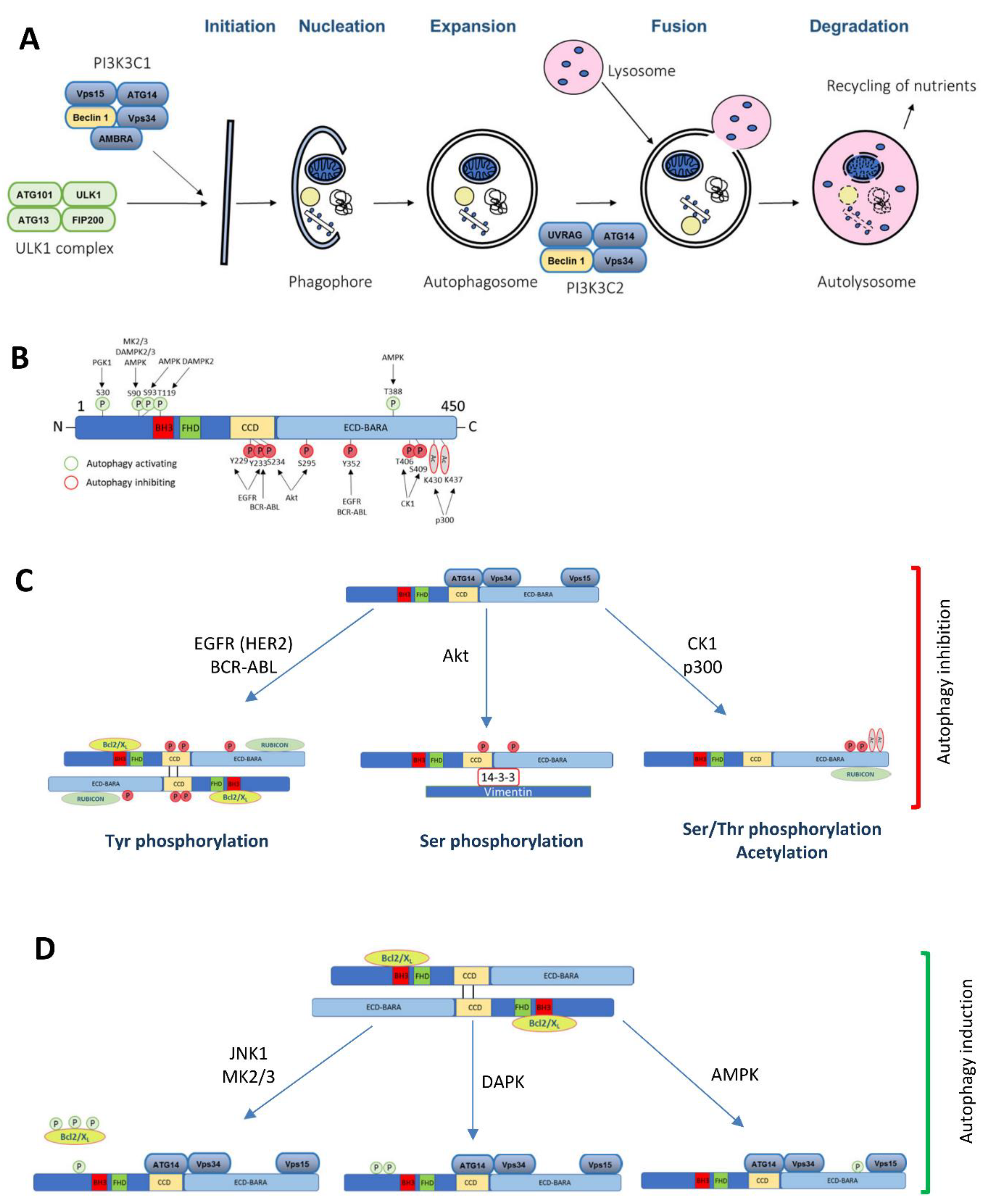 Biology 09 00004 g001