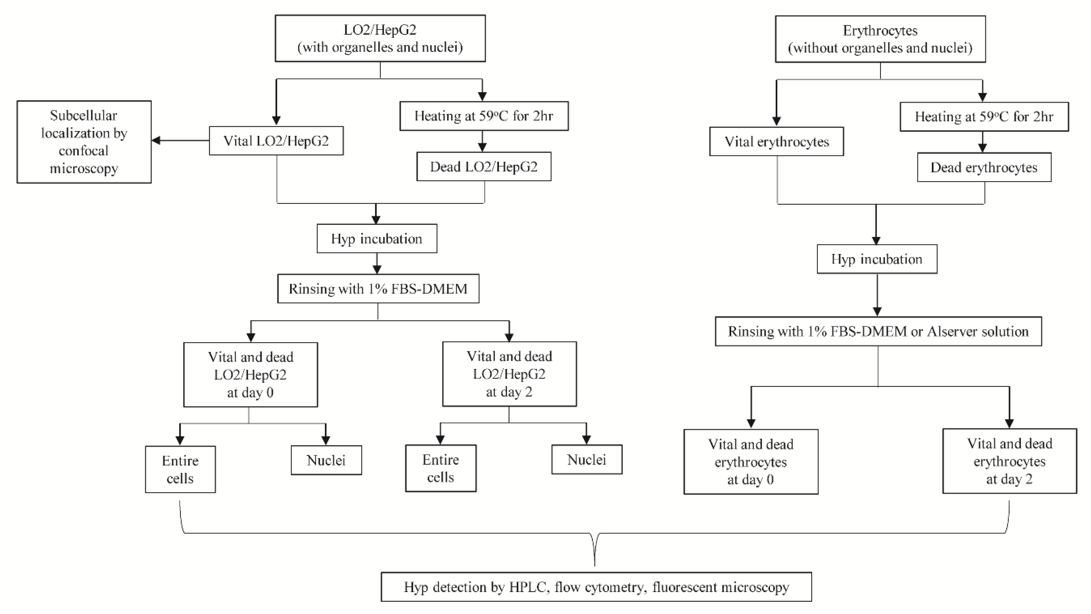 Biology 09 00013 g001 Biology 09 00013 g001
