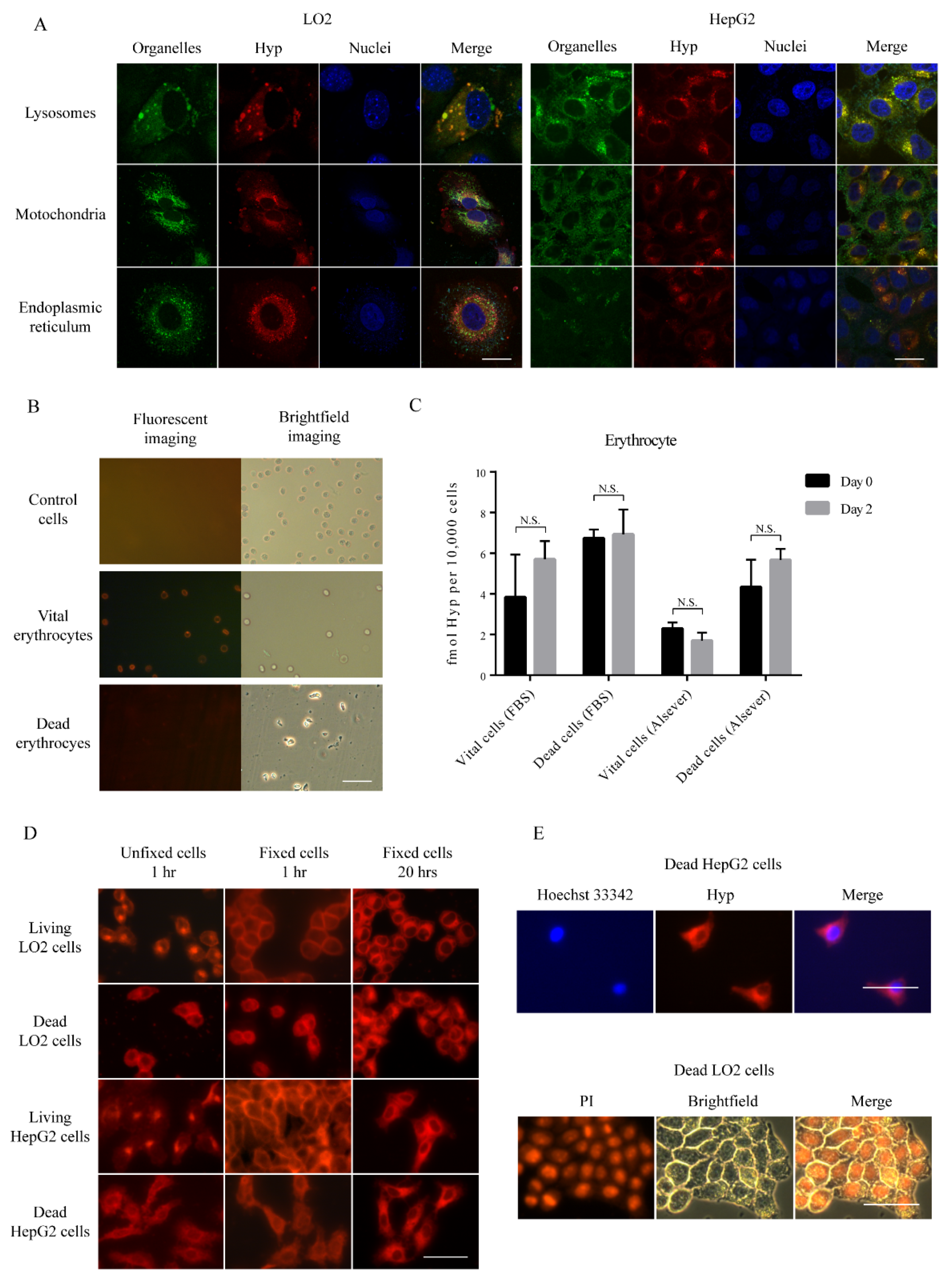 Biology 09 00013 g004 Biology 09 00013 g004