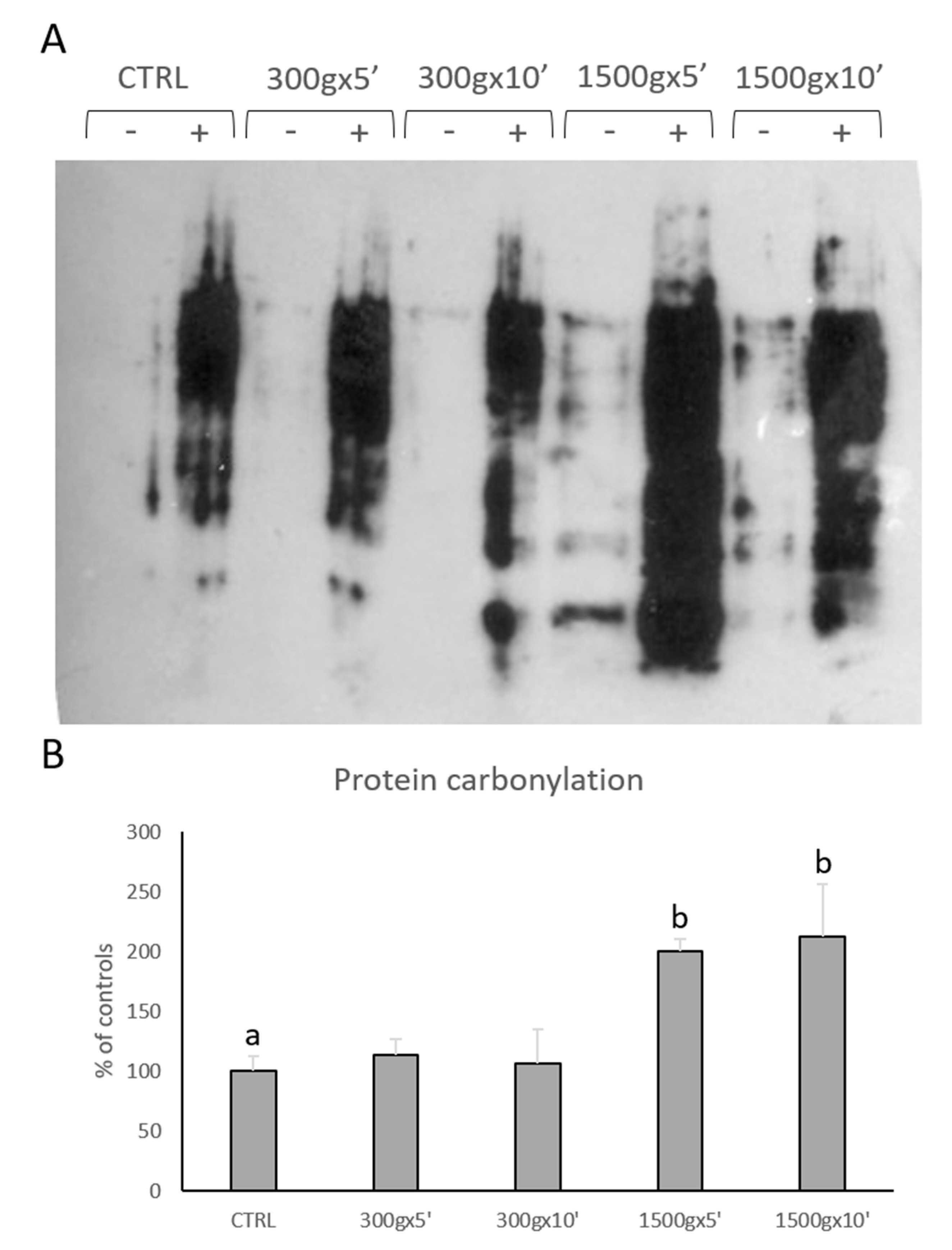 Biology 09 00022 g005