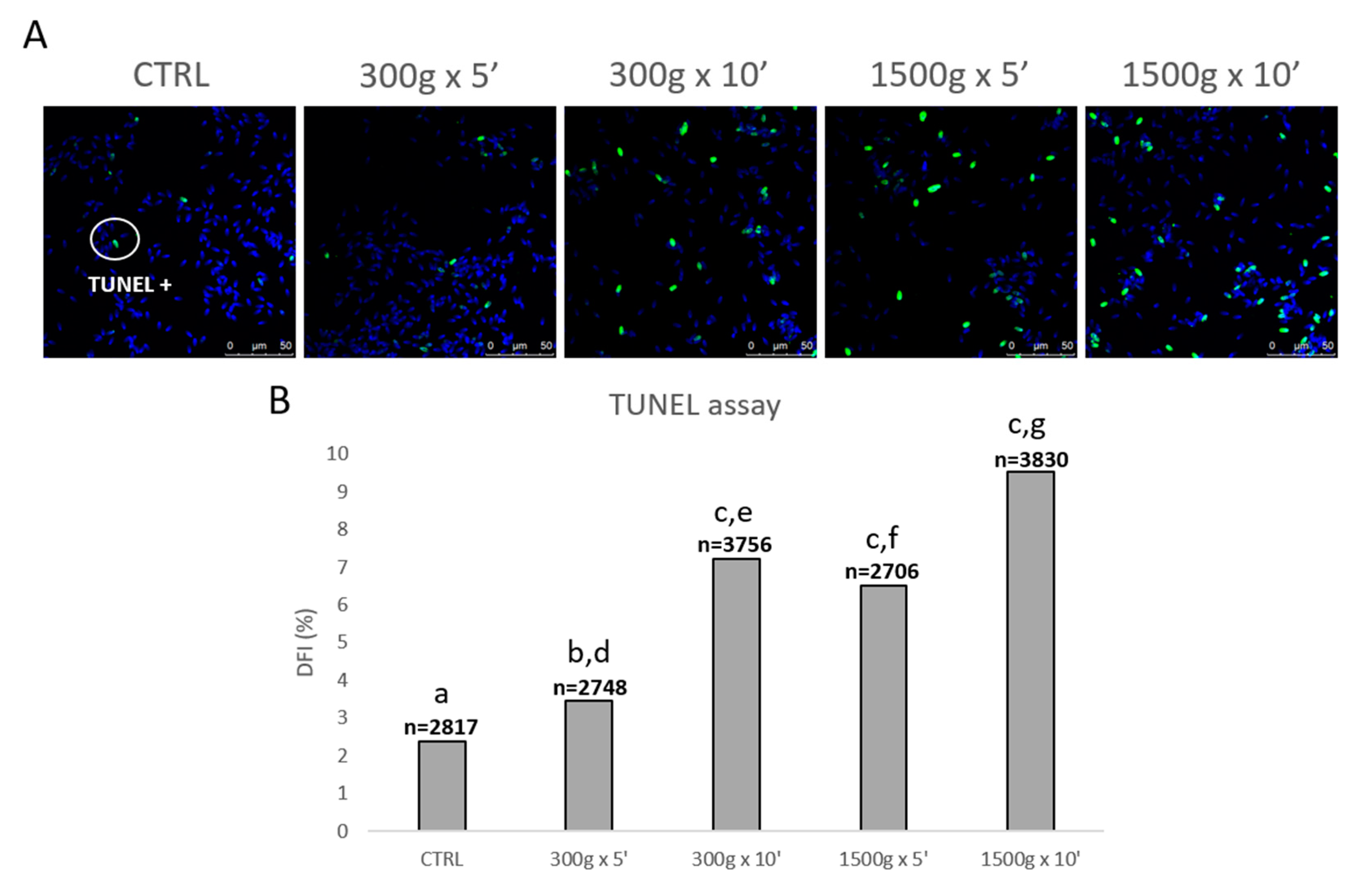 Biology 09 00022 g006
