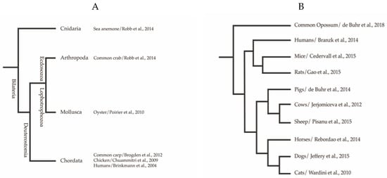 Biology 09 00034 g001