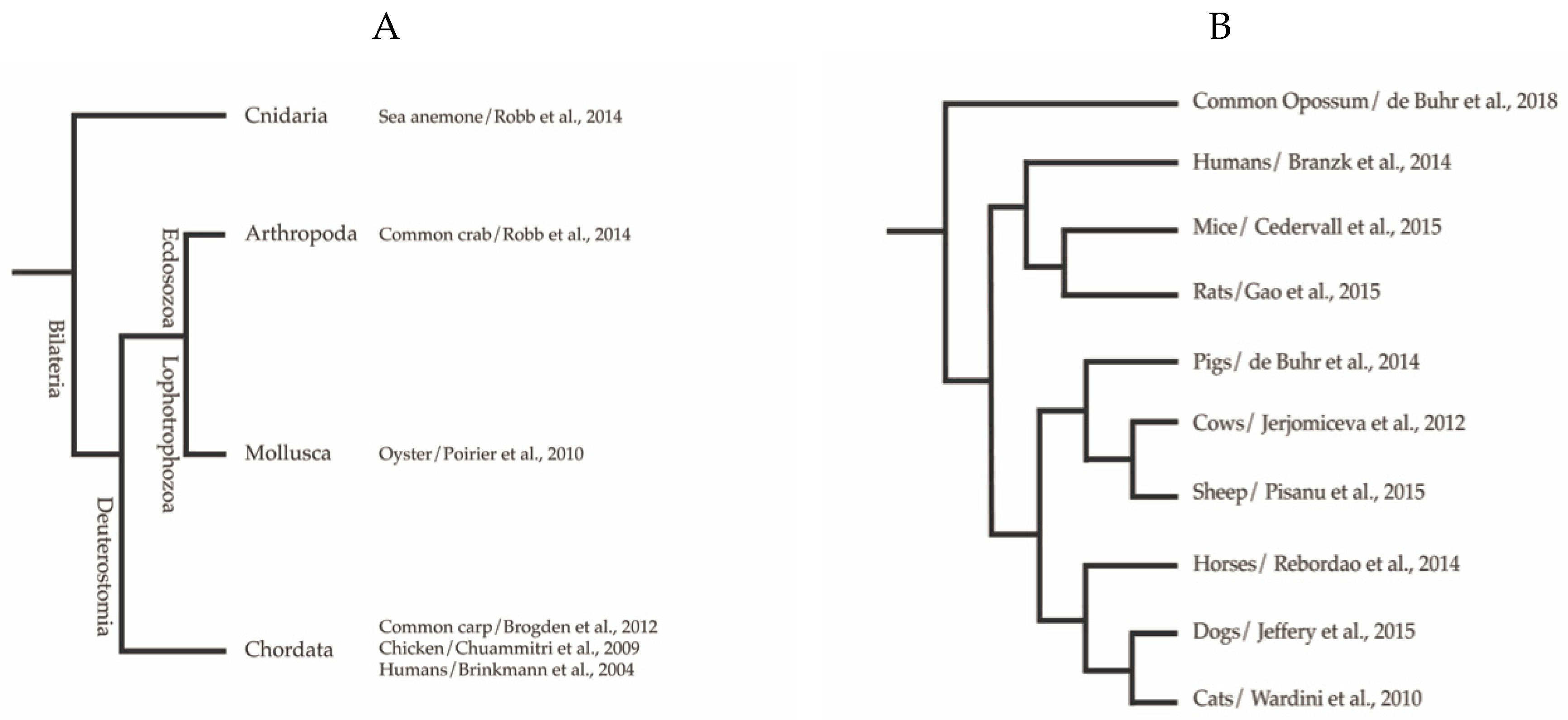 Biology 09 00034 g001