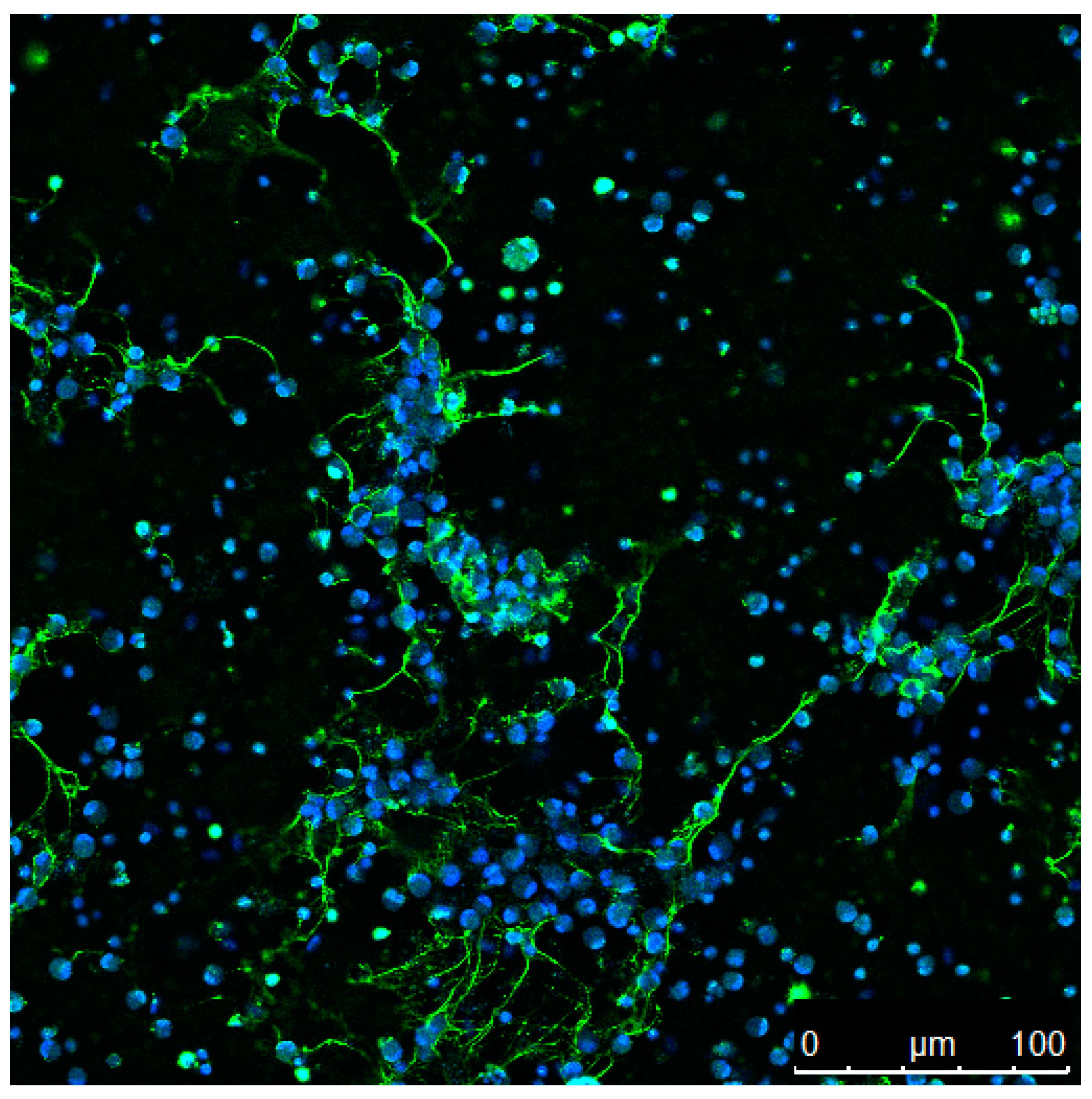 Biology 09 00034 g002