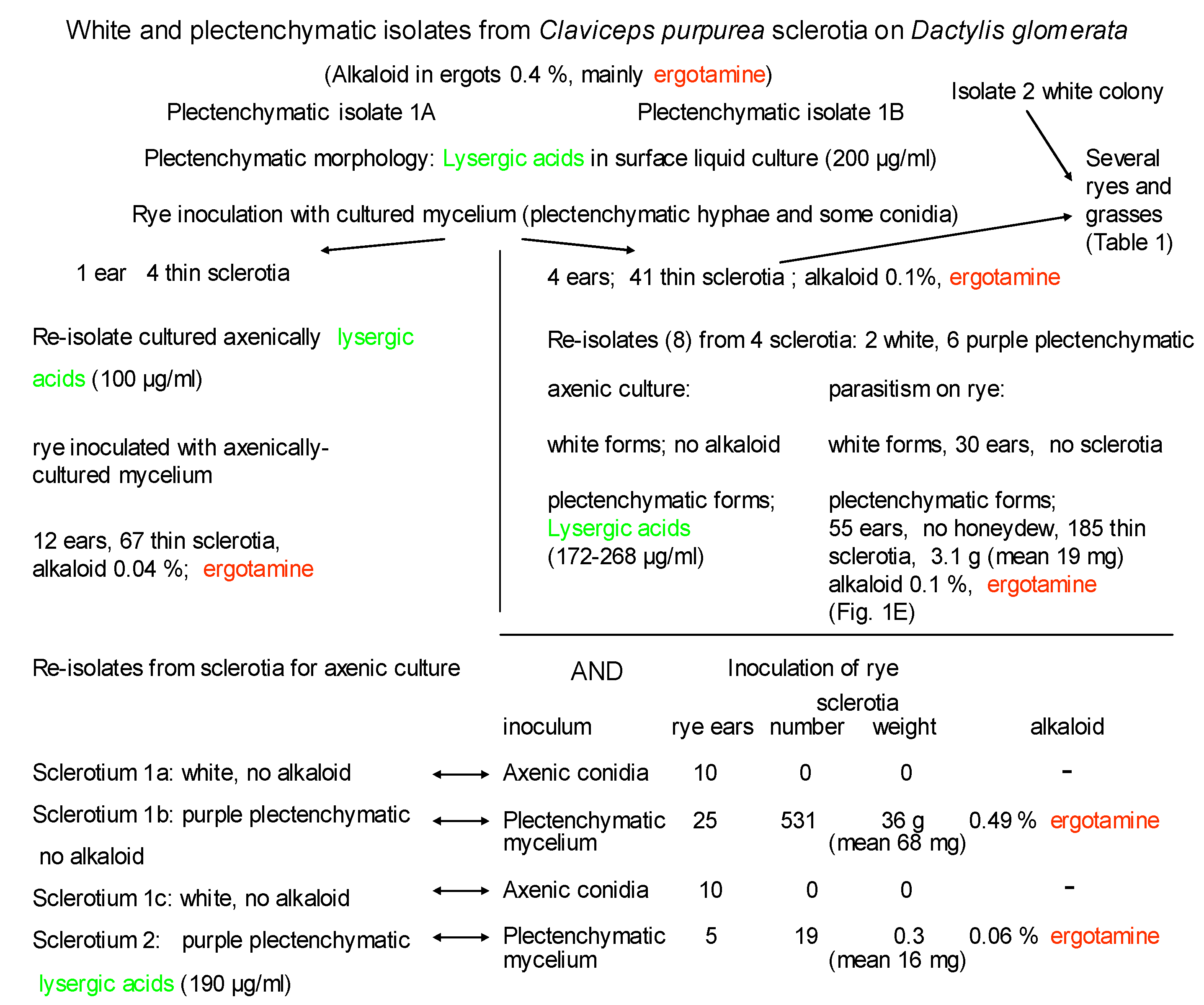 Biology 09 00041 sch001