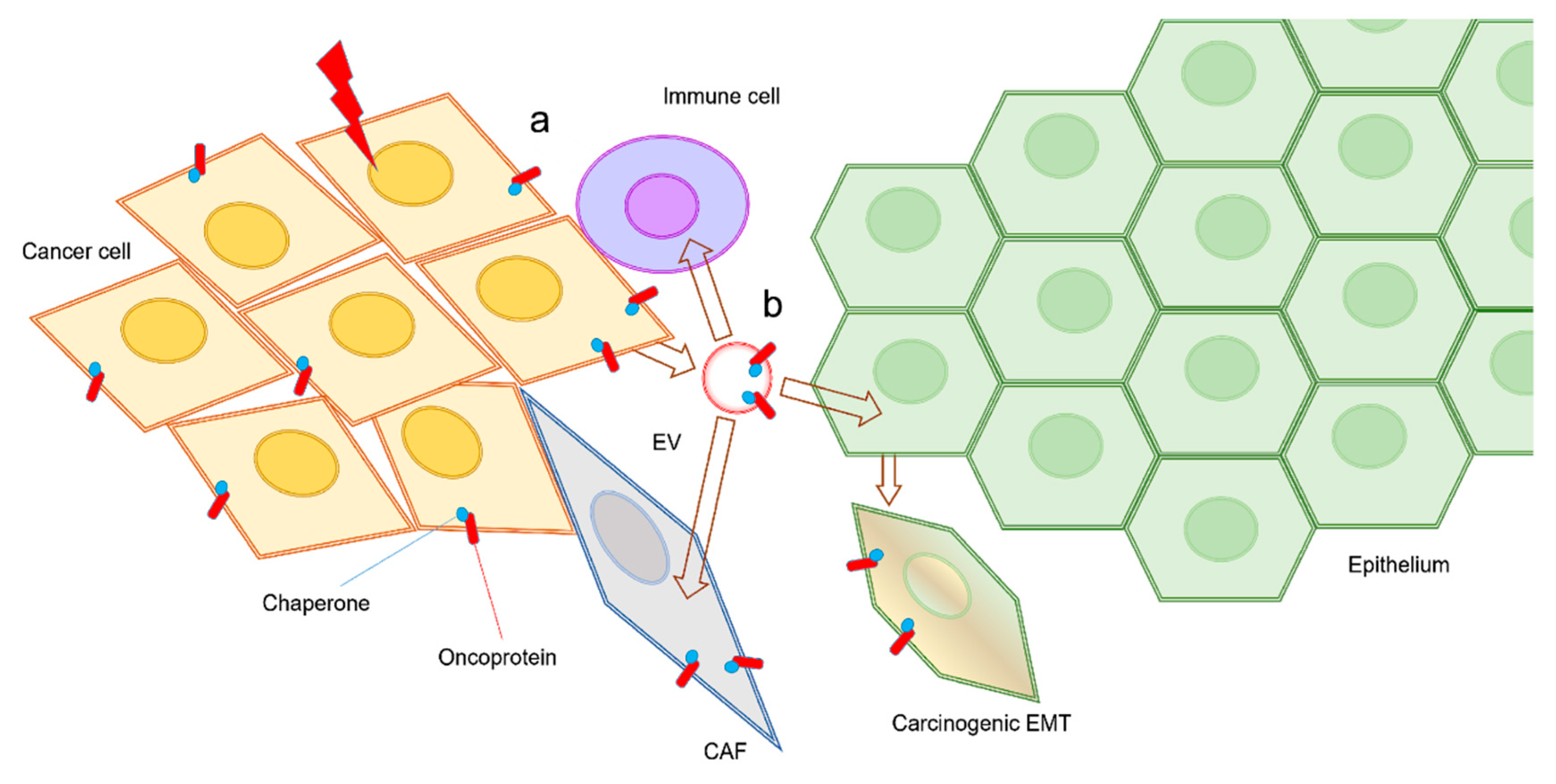 Biology 09 00047 g002