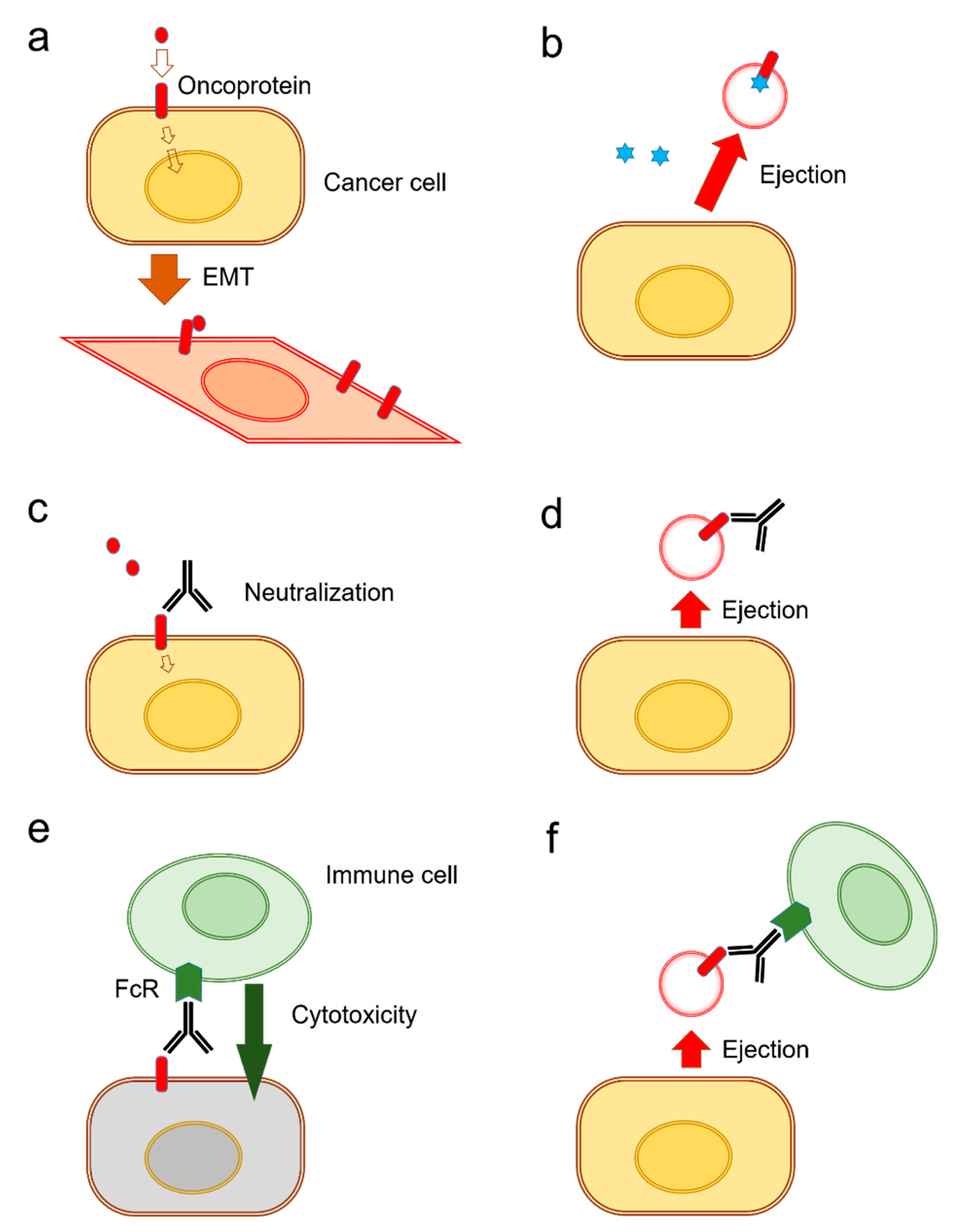 Biology 09 00047 g003