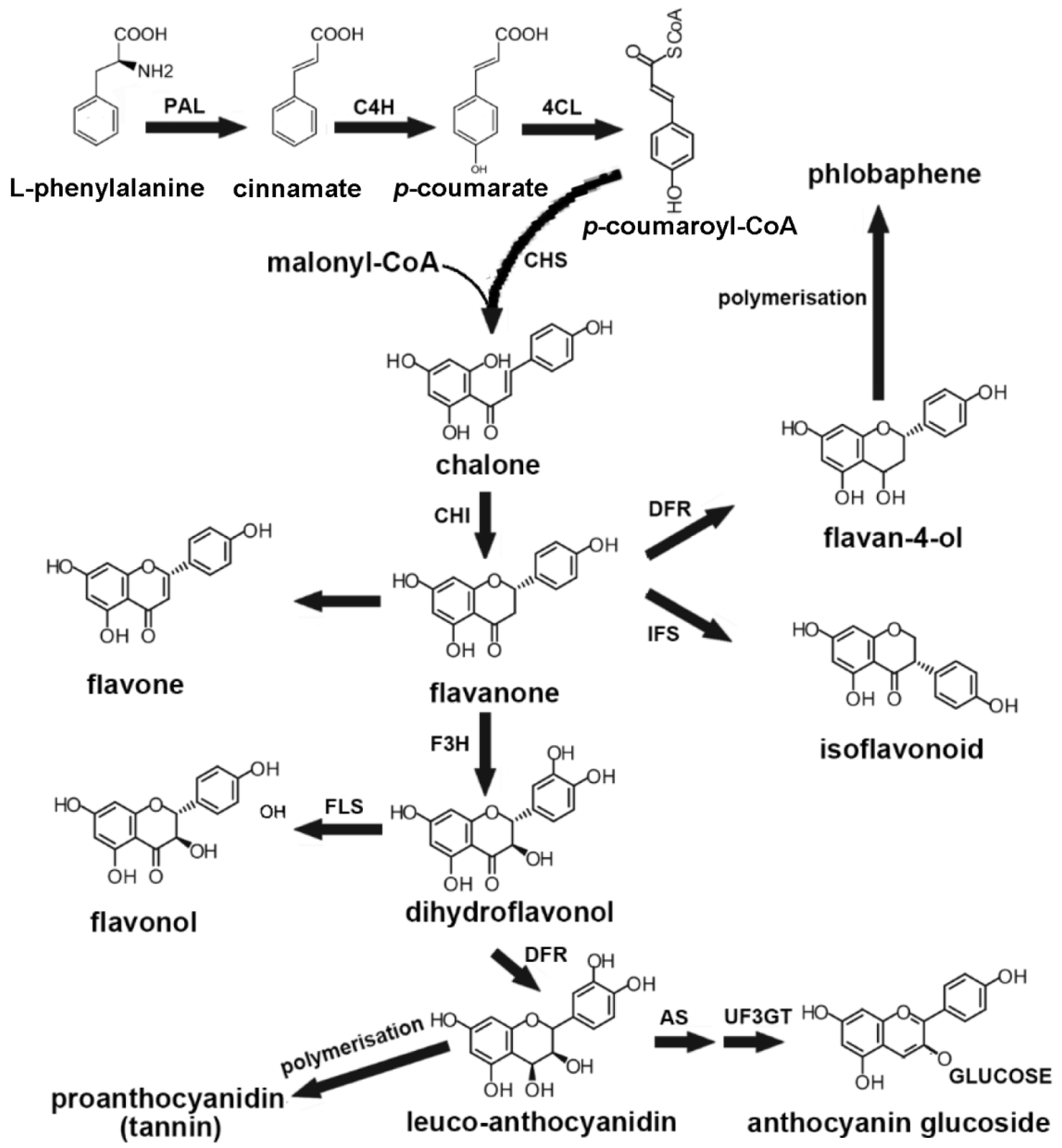 Biology 09 00061 g003